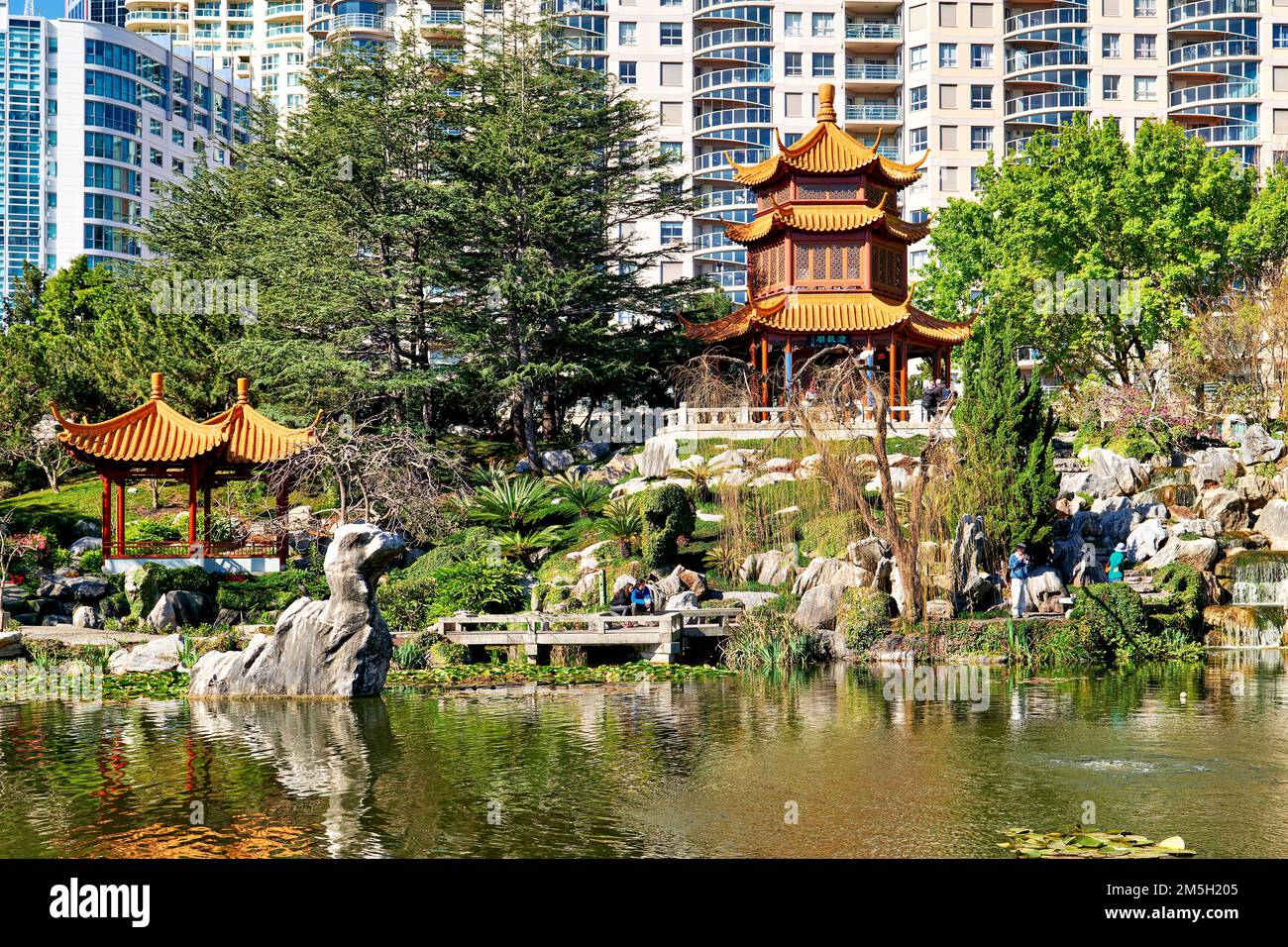 Sydney. Nouvelle-Galles du Sud. Australie. Le jardin chinois de l'amitié Banque D'Images