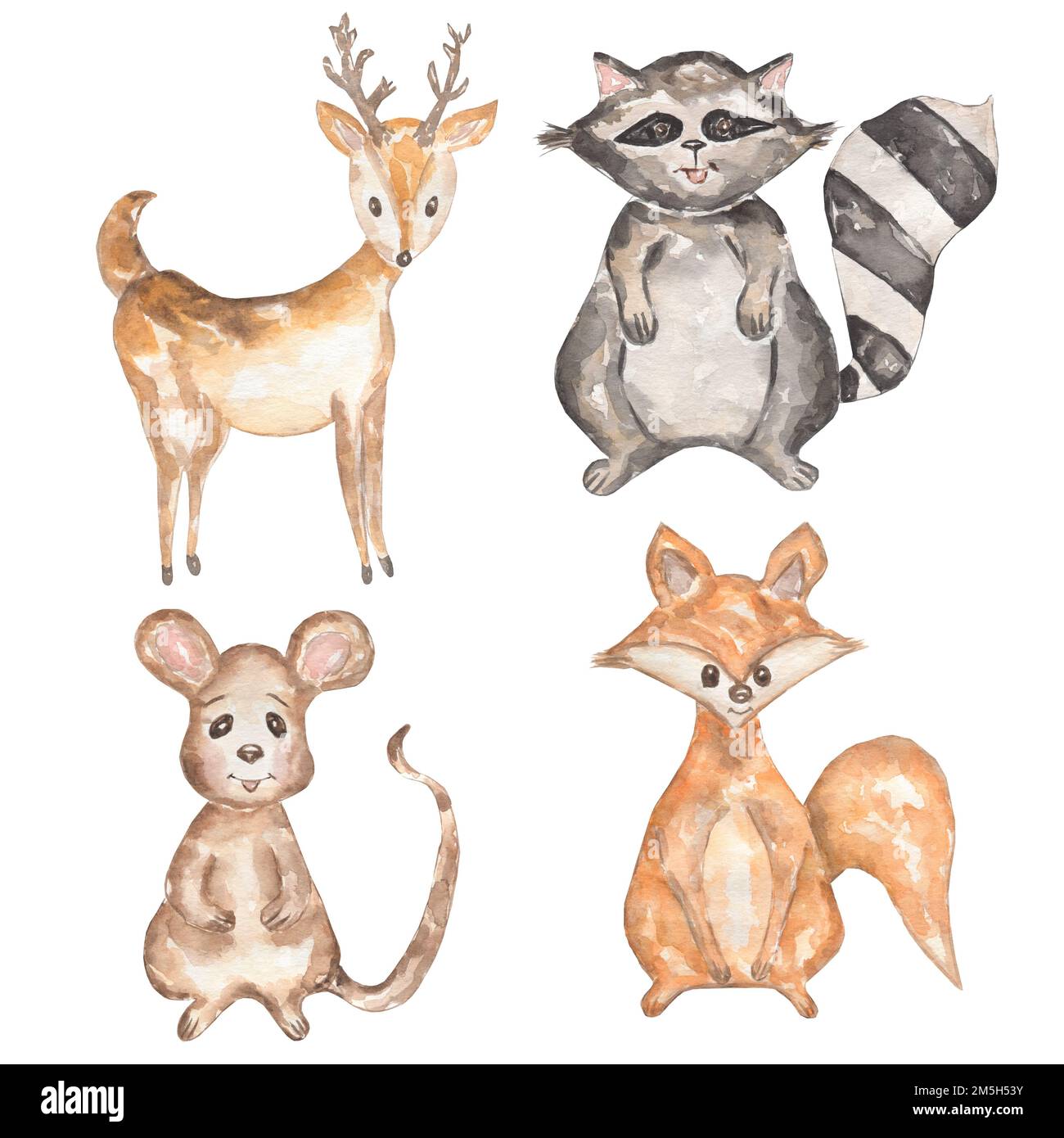 Aquarelle animaux dessinés à la main, isolés sur fond blanc. Illustration du renard, de la souris, du cerf de Virginie et du raton laveur. animal de forêt. Banque D'Images
