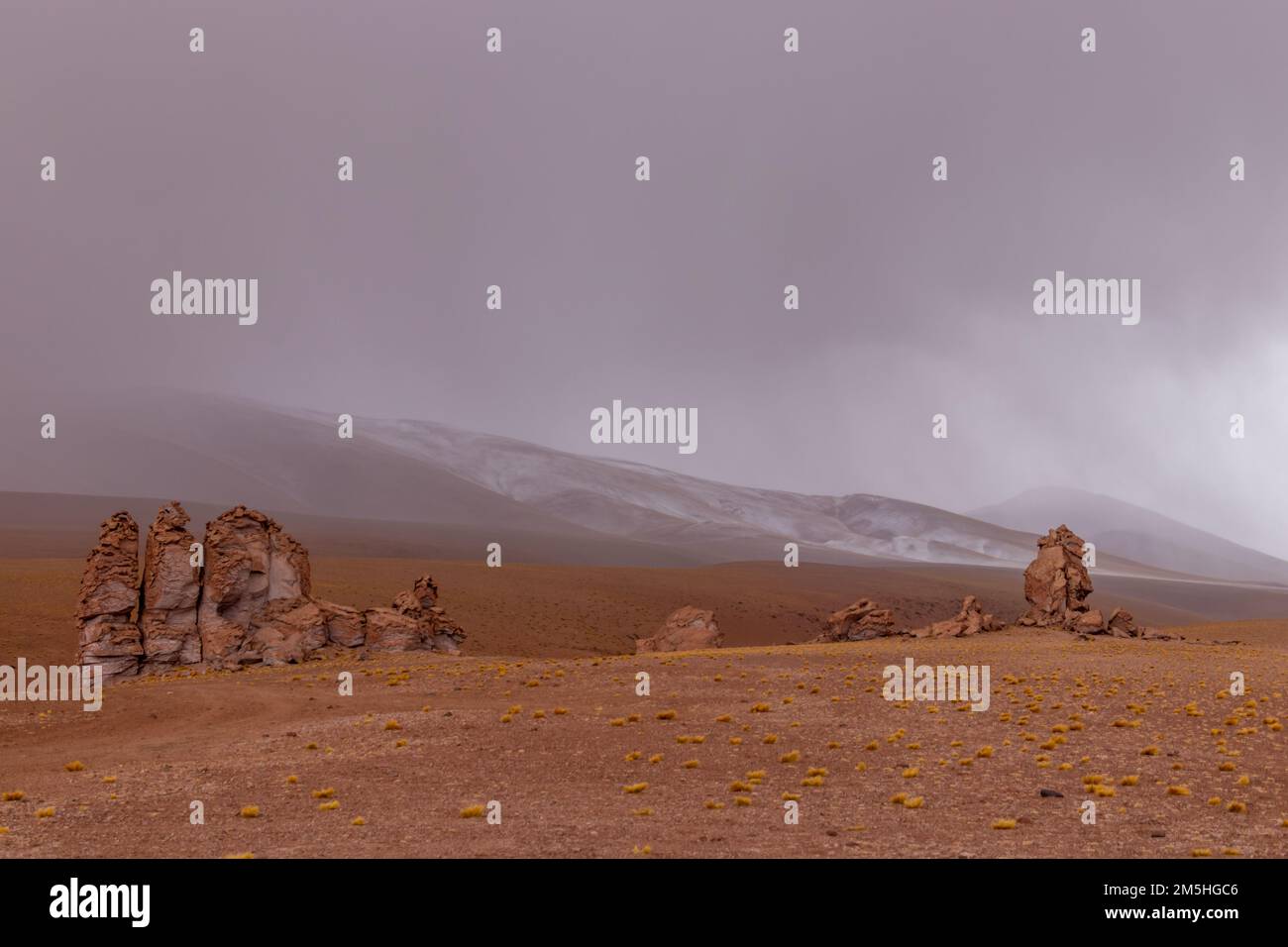 Instable Monjes de la Pacana rochers au milieu du désert d'Atacama au Chili avec des montagnes couvertes de neige en arrière-plan Banque D'Images