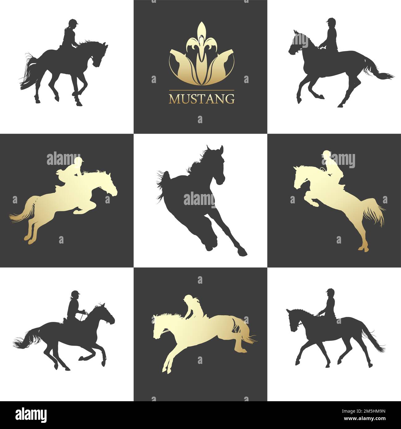 Sports équestres. Équitation. Rider effectue des sauts à cheval. Silhouette de cheval noir et blanc Illustration de Vecteur