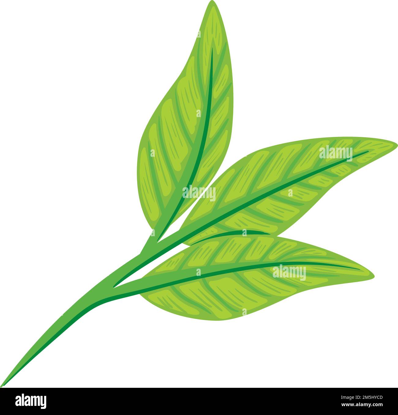 trois feuilles plantent du feuillage Illustration de Vecteur