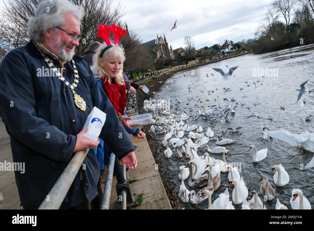 29th décembre 2022. Le projet de nourriture de cygne a tenu son Big Christmas Swan Feed aujourd'hui, jeudi, 29 décembre 2022.le maire de Worcester, le conseiller Adrian Gregson, a participé à l'alimentation de cygne, qui a eu lieu aujourd'hui à 2pm heures à South Quay sur la rivière Severn Worcester crédit: Ian Tennant/Alay Live News Banque D'Images