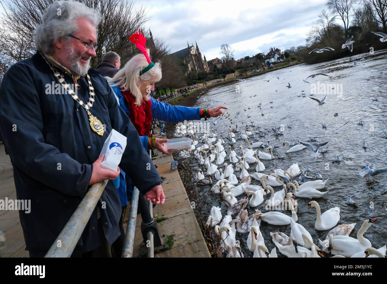 29th décembre 2022. Le projet de nourriture de cygne a tenu son Big Christmas Swan Feed aujourd'hui, jeudi, 29 décembre 2022.le maire de Worcester, le conseiller Adrian Gregson, a participé à l'alimentation de cygne, qui a eu lieu aujourd'hui à 2pm heures à South Quay sur la rivière Severn Worcester crédit: Ian Tennant/Alay Live News Banque D'Images