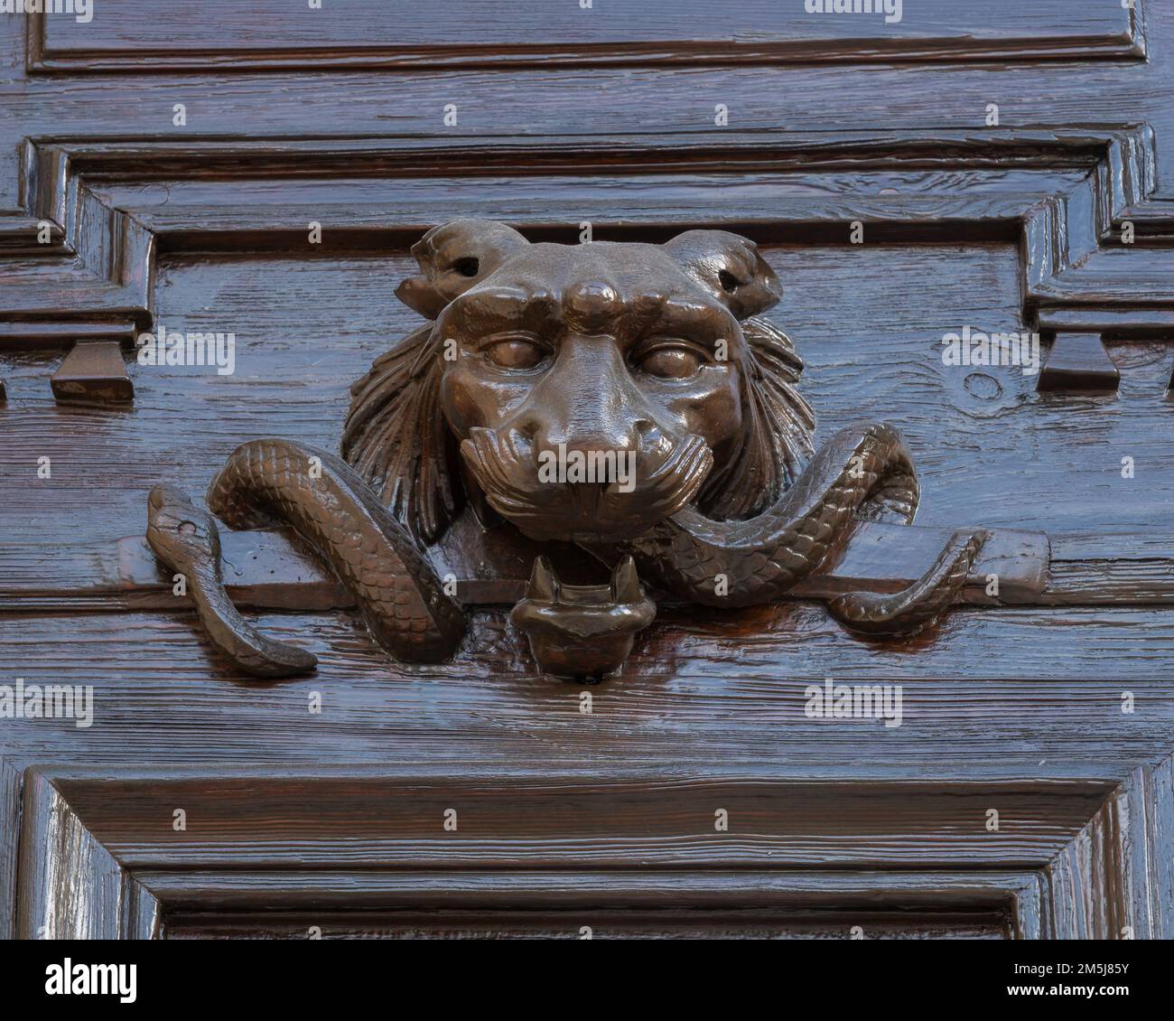 Vue rapprochée de la magnifique ancienne tête de lion sculptant sur une porte en bois brun foncé, Montpellier, France Banque D'Images