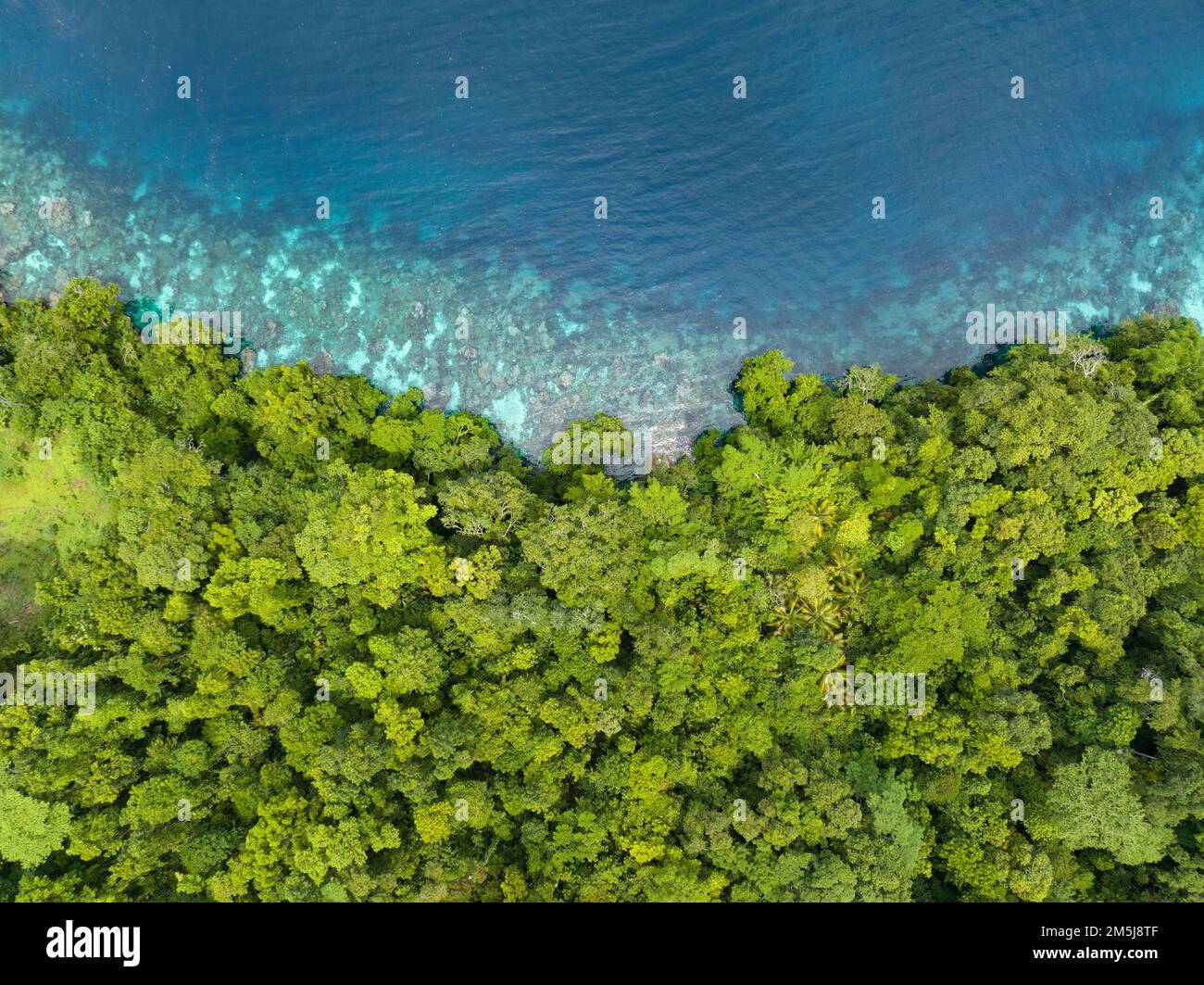 Une île tropicale luxuriante est bordée d'un récif de corail dans les îles Salomon. Ce beau pays abrite une biodiversité marine spectaculaire. Banque D'Images