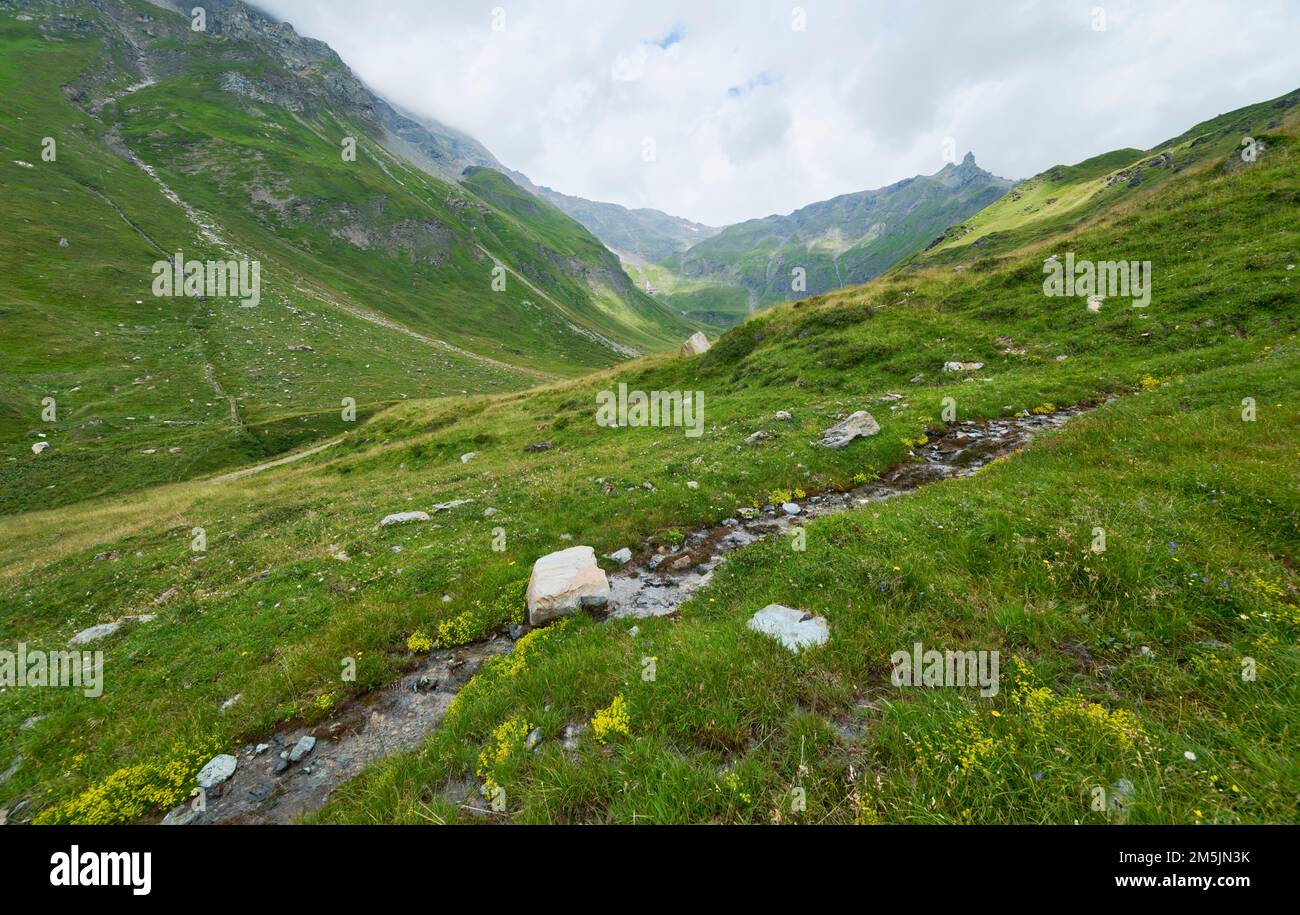 Alpenapollo Lebensraum, Parnassius sacerdos, habitat alpine des papillons Apollo Banque D'Images