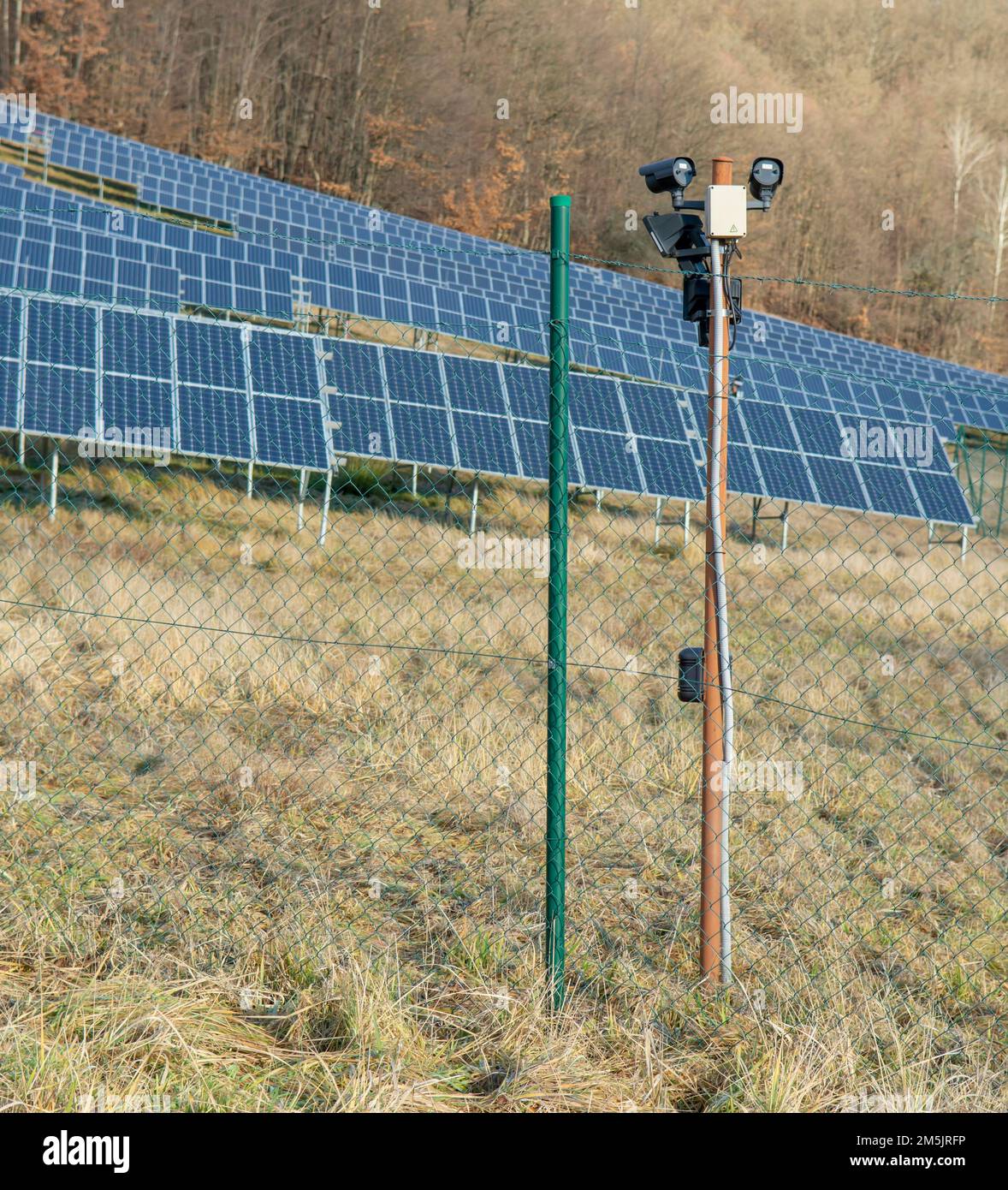 Une centrale solaire photovoltaïque sur le terrain. Panneaux solaires sur la prairie près de la forêt. Concept d'énergie verte Banque D'Images