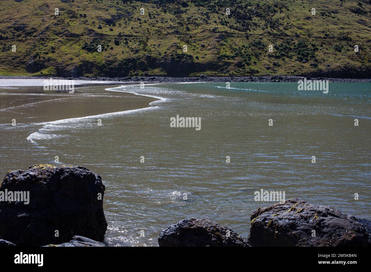 Un regard sur la vie en Nouvelle-Zélande. Sites le long de la plage dans une baie isolée, South Island, Nouvelle-Zélande. Banque D'Images