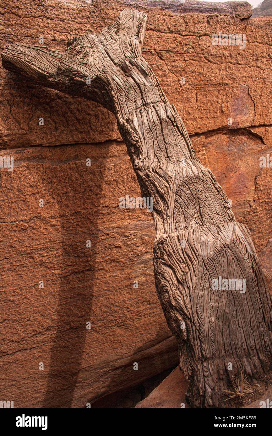 Échelle Dogon sculptée à la main en afrique du mali. Utilisée par le Dogon pour grimper aux étages supérieurs des maisons et des greniers. Banque D'Images