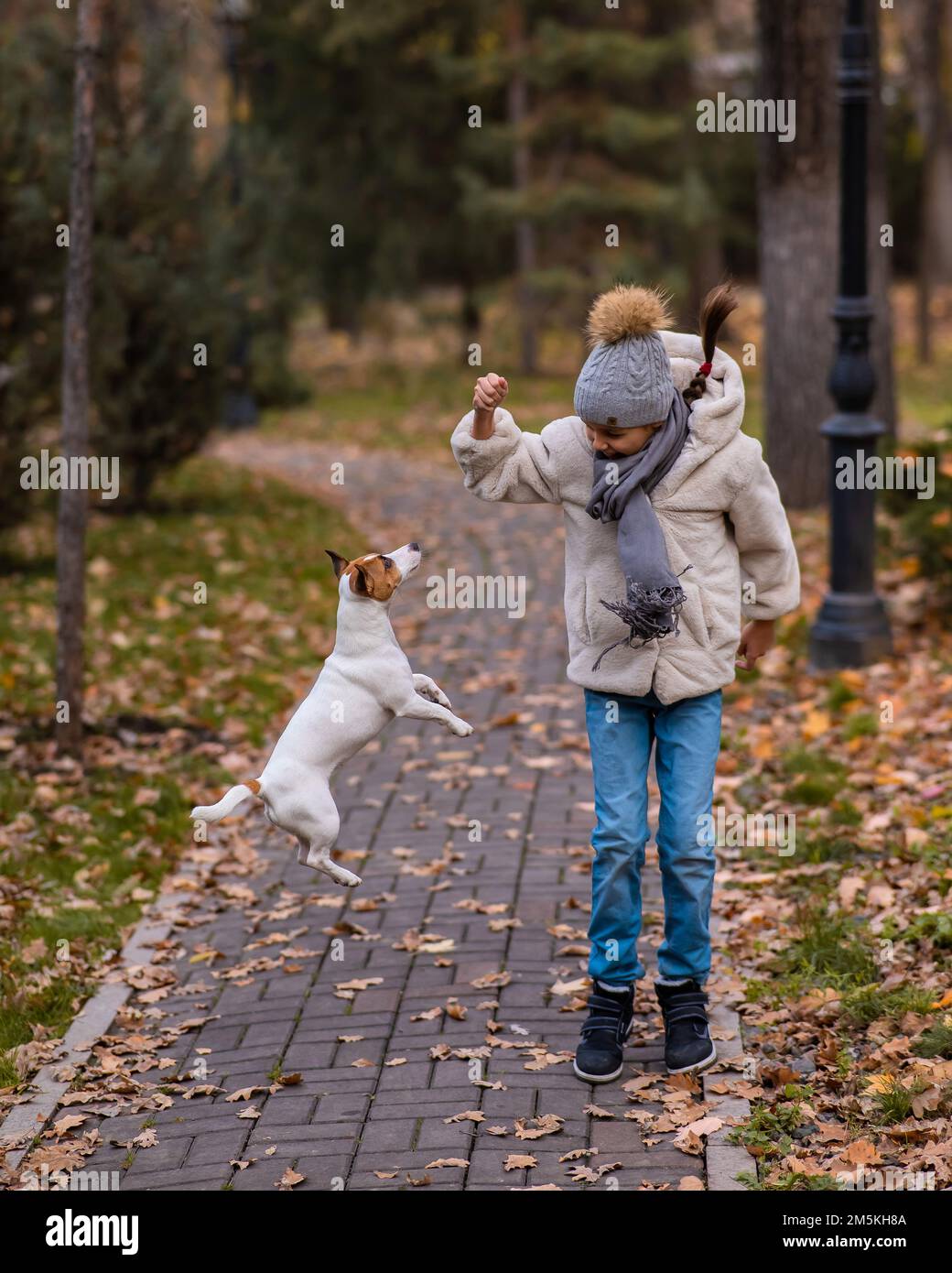 Une fille caucasienne jouant avec un chien pour une promenade dans le parc d'automne. Banque D'Images Une fille caucasienne jouant avec un chien pour une promenade dans le parc d'automne. Banque D'Images
