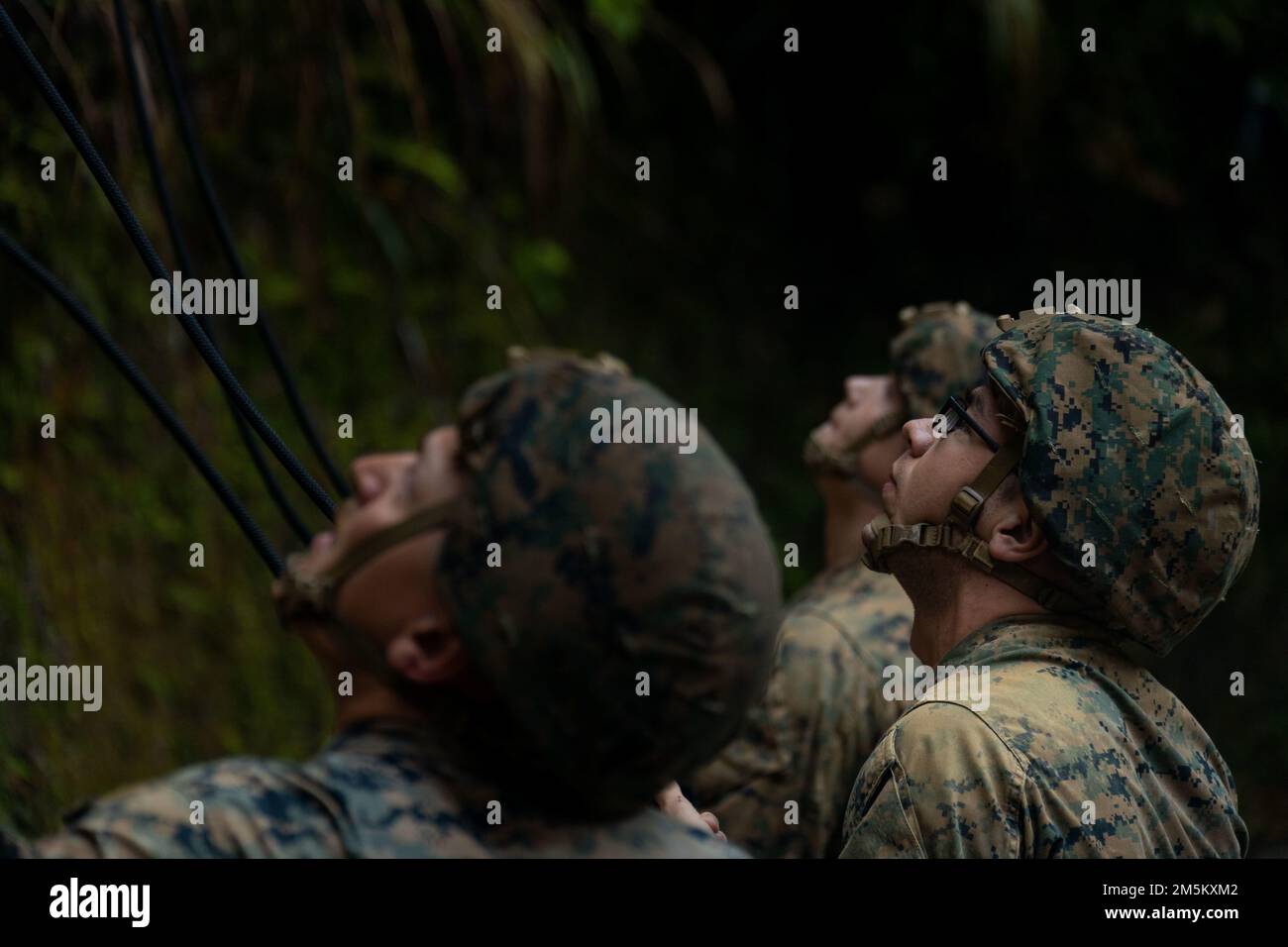 ÉTATS-UNIS Marines avec III Marine Expeditionary Force information Group belay pour Marines rappelling pendant l'entraînement de rappel dans la jungle au centre d'entraînement de Warfare, Camp Gonsalves, Okinawa, Japon, 23 mars, 2022. La formation à la mise en rappel faisait partie d'un exercice général sur le terrain de la jungle mené sur 21-25 mars. Au cours de la FEX, III MIG Marines a exercé sa capacité à mener des opérations distribuées dans un environnement austère. Le JWTC offre un terrain difficile qui se trouve sur de nombreuses îles de l'Indo-Pacifique. La maîtrise de ce terrain contribue à la capacité de III MIG à utiliser plusieurs modes de lo Banque D'Images