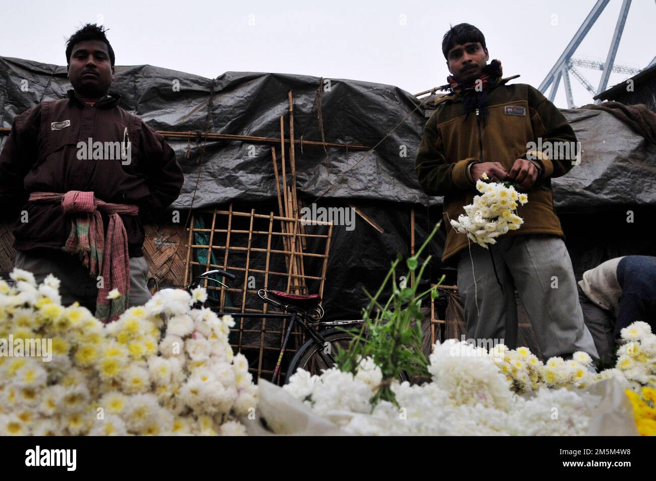 Mallick Ghat est l'un des plus grands marchés de fleurs en Asie. Scènes tôt le matin au marché de Kolkata, Bengale-Occidental, Inde. Banque D'Images