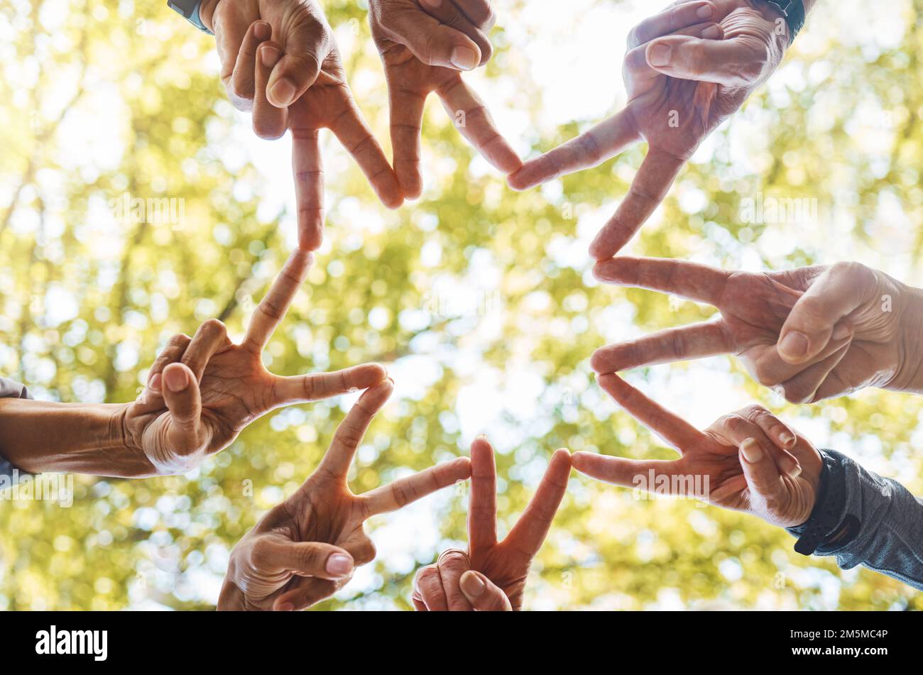 Mains, signe de paix ou équipe dans la nature avec espoir, soutien ou travail d'équipe pour la vision de groupe, la mission ou les buts succès. Communauté, création d'équipe ou personnes dans Banque D'Images