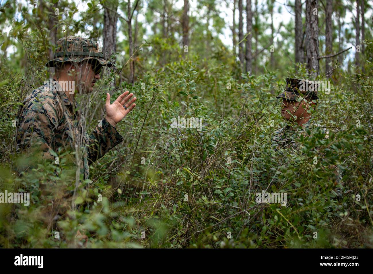 Le sergent Lucas Francis, au centre du corps des Marines des États-Unis, un technicien en entretien automobile, donne instruction au caporal Anthony J. Delgado, un mécanicien d'équipement, tous deux du 3rd Bataillon de soutien à l'atterrissage, d'effectuer des opérations de poste d'écoute et de poste d'observation pendant l'exercice Atlantic Dragon on Camp Blanding, Floride, États-Unis, 25 mars 2022. Atlantic Dragon est un exercice de génération de force qui pousse le Régiment de logistique de combat 37 à titre de groupe d'opérations d'assemblage d'arrivée pour fournir un soutien logistique tactique à la Force expéditionnaire maritime de l'IMII. L'exercice consiste en une maritime expérimentale prépositionnée FO Banque D'Images
