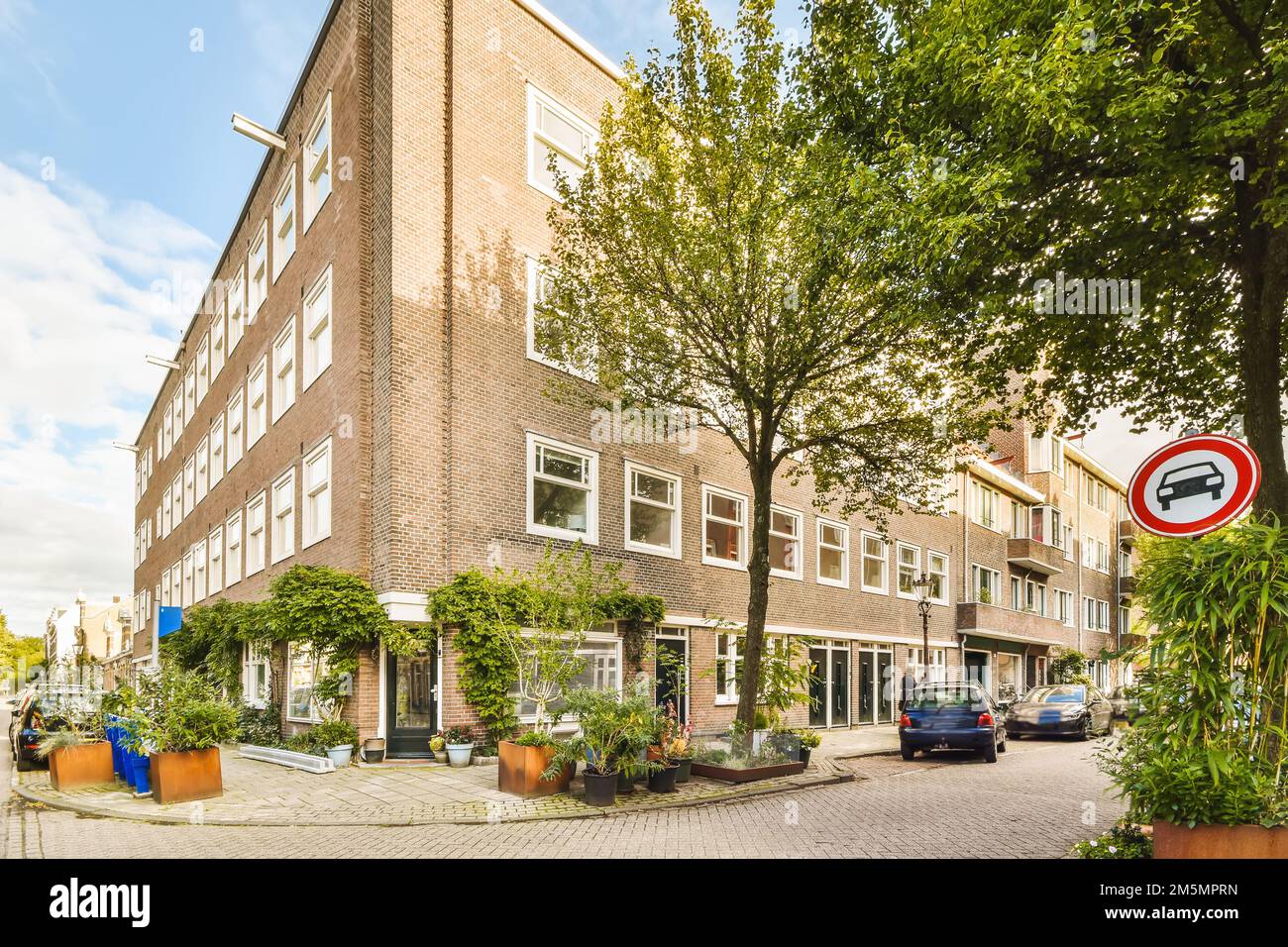une rue avec des voitures garées devant les bâtiments et des arbres de