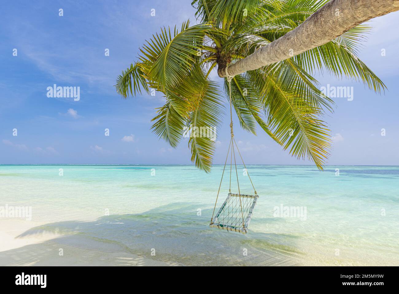 Plage d'île tropicale comme paysage d'été avec balançoire de plage ou hamac. Heureux idyllique ciel bleu sable palmier feuilles et plage de mer calme. Couple romantique Banque D'Images