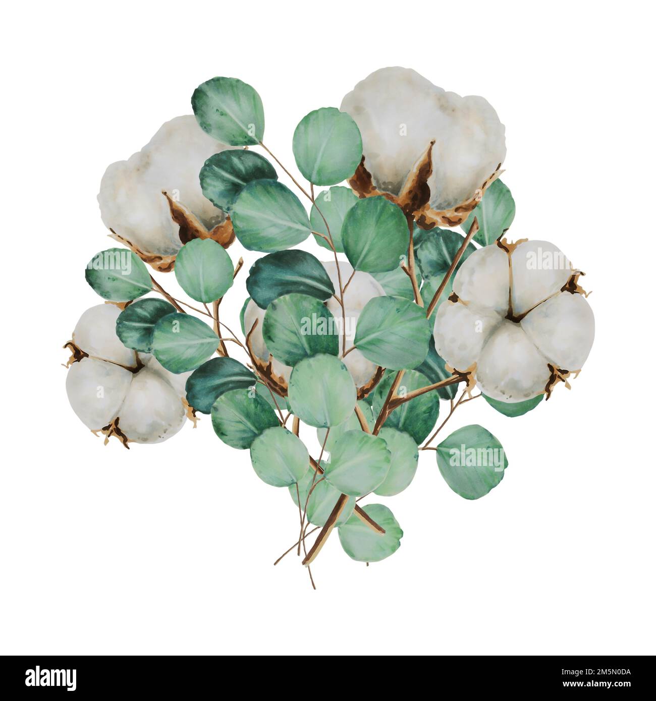 Bouquet de fleurs de coton et branches d'eucalyptus aquarelle Photo Stock -  Alamy
