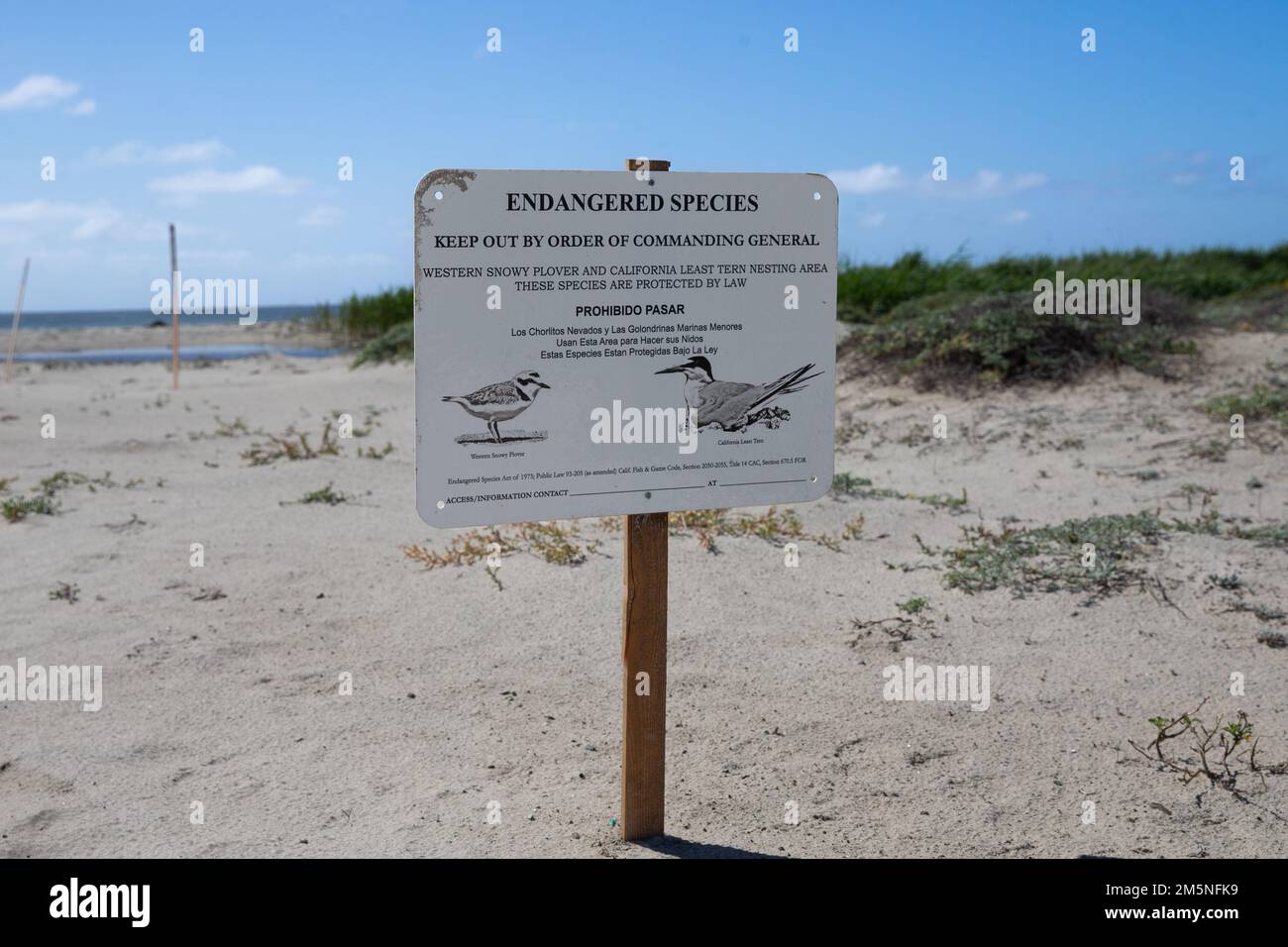 Un panneau indiquant une espèce en voie de disparition est affiché le long de la côte sur le camp de base du corps des Marines, Pendleton, Californie, 29 mars 2022. À la suite de la prise en charge par le département de la sécurité environnementale de Pendleton de la protection de l’environnement et des habitats fauniques, le gnatcatcher de Californie et le rat kangourou ont été réduits d’espèces menacées à des espèces menacées. La protection des habitats menacés et en voie de disparition permet également au Camp Pendleton de maintenir le même environnement d'entraînement et les mêmes possibilités d'entraînement de qualité pour les forces opérationnelles du corps des Marines. Banque D'Images