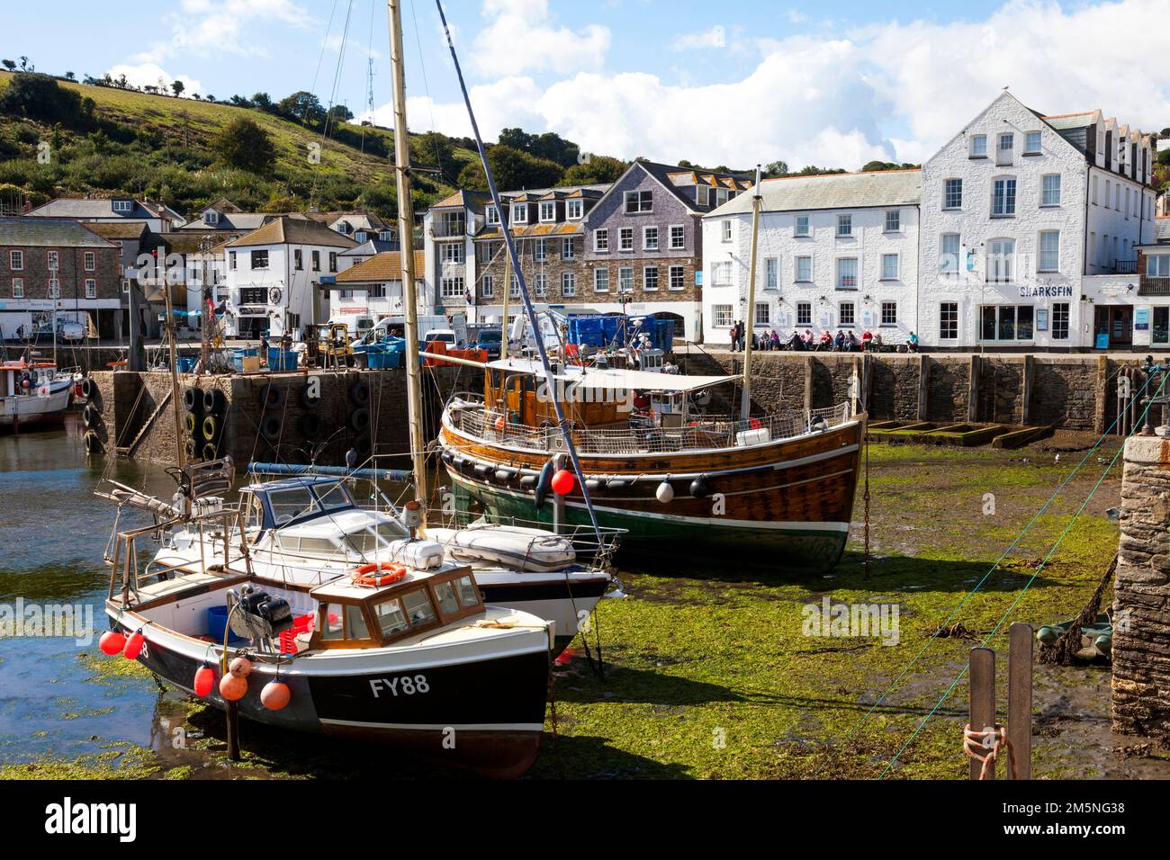 Mevagissey Harbour, Mevagissey, Cornwall, Angleterre, Royaume-Uni Banque D'Images