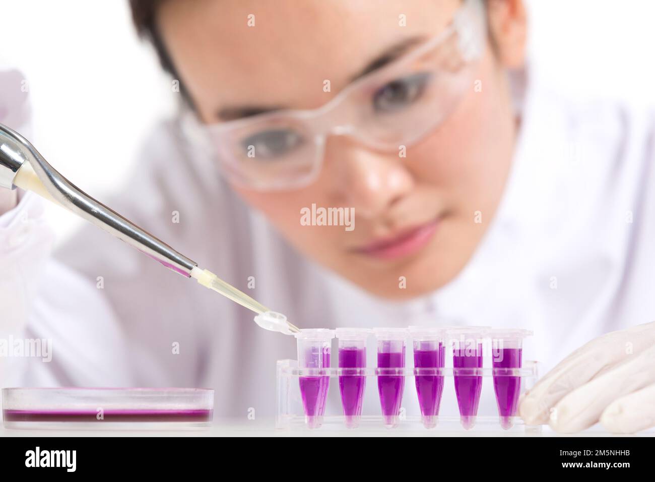 Le réactif que les femmes scientifiques ont observé in vitro Banque D'Images