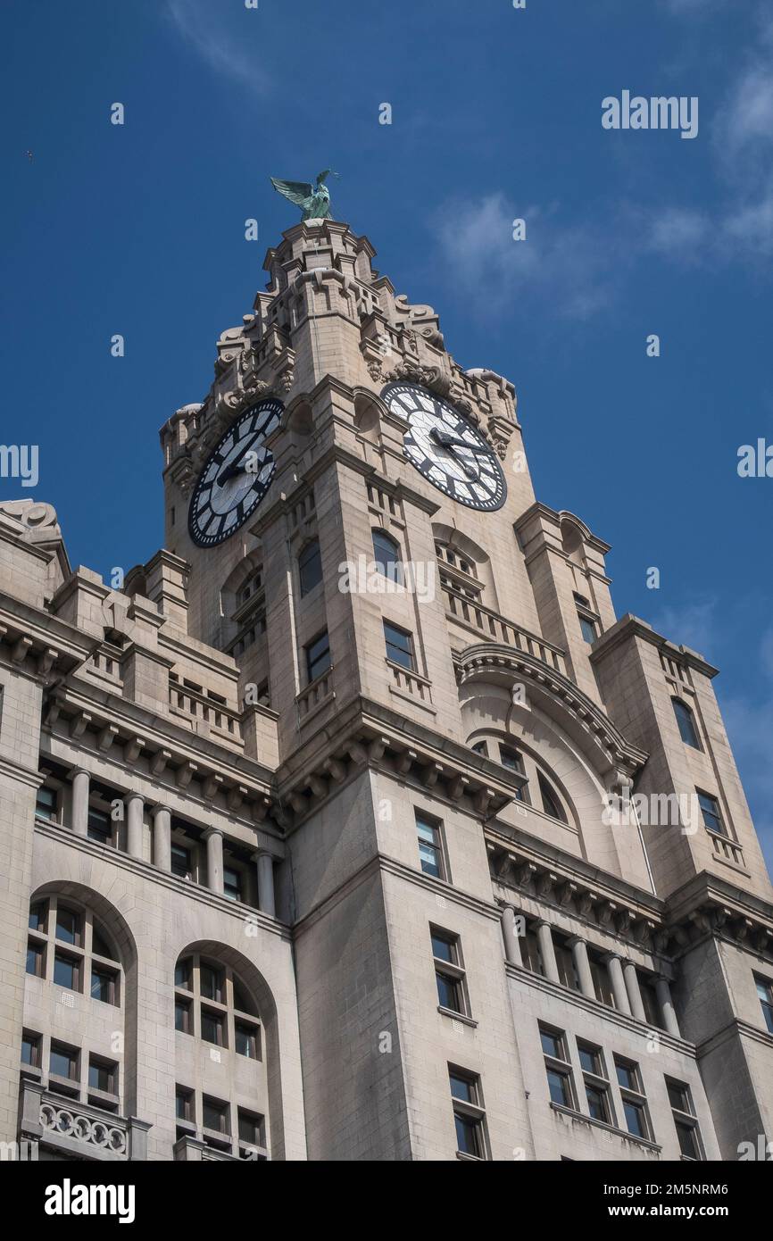 Le Liver Bird au sommet du Liver Building à Liverpool, au Royaume-Uni Banque D'Images