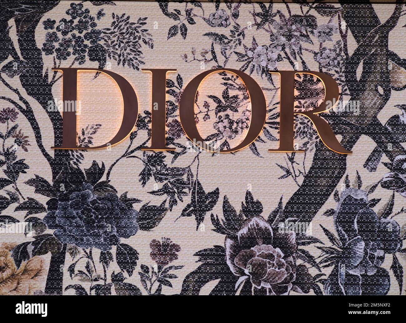 Dior est la marque de LVMH qui a généré le plus de revenus grâce aux  influenceurs sur Instagram en 2022  Influencia