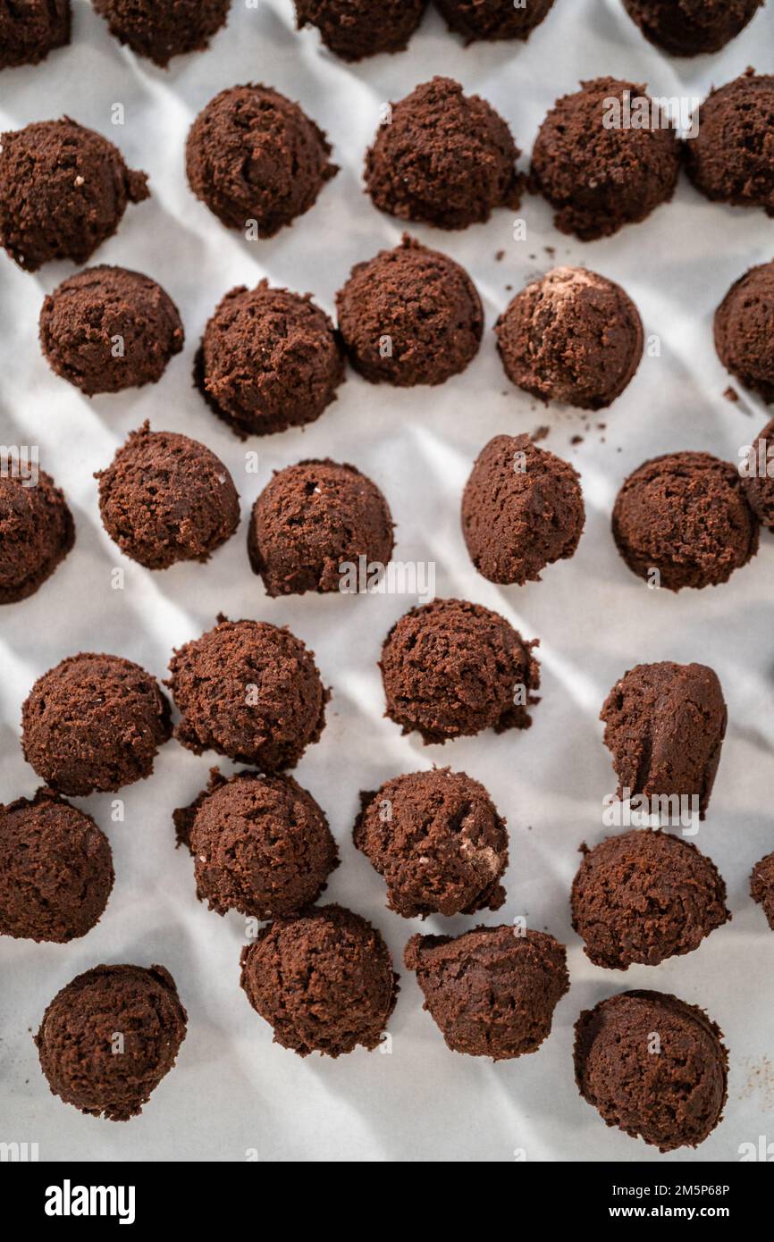 Biscuits au chocolat et à la menthe