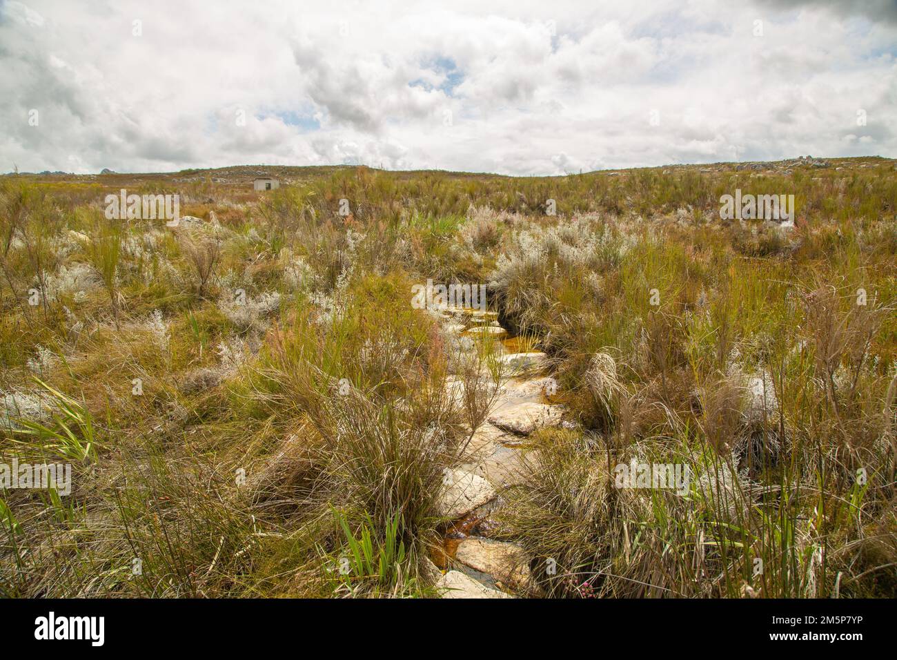 Petite piste de randonnée construite en pierres dans les montagnes du Cap occidental de l'Afrique du Sud Banque D'Images