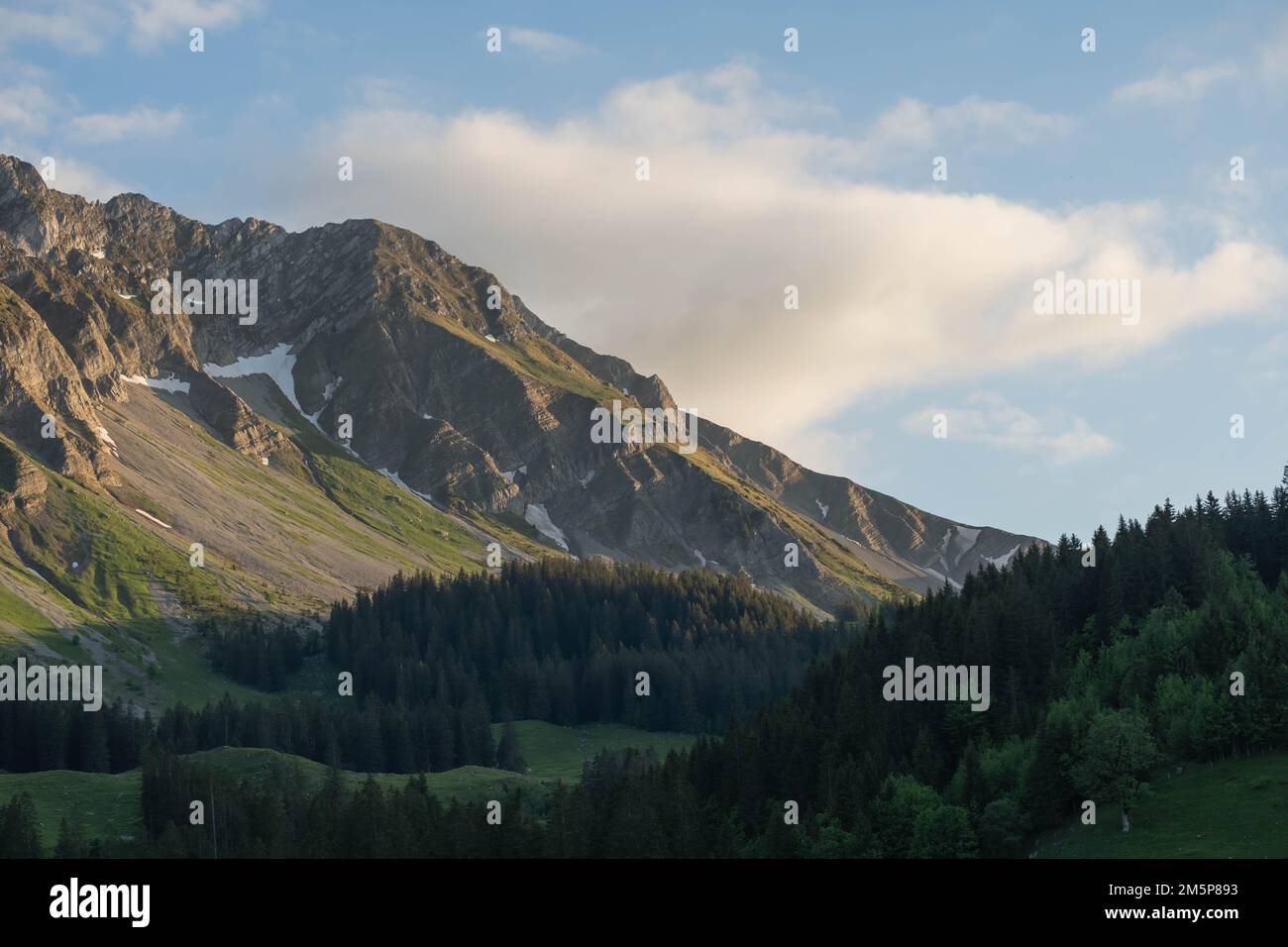 Montagnes Rocheuses en suisse avec une forêt et la lumière du soleil du soir. Banque D'Images