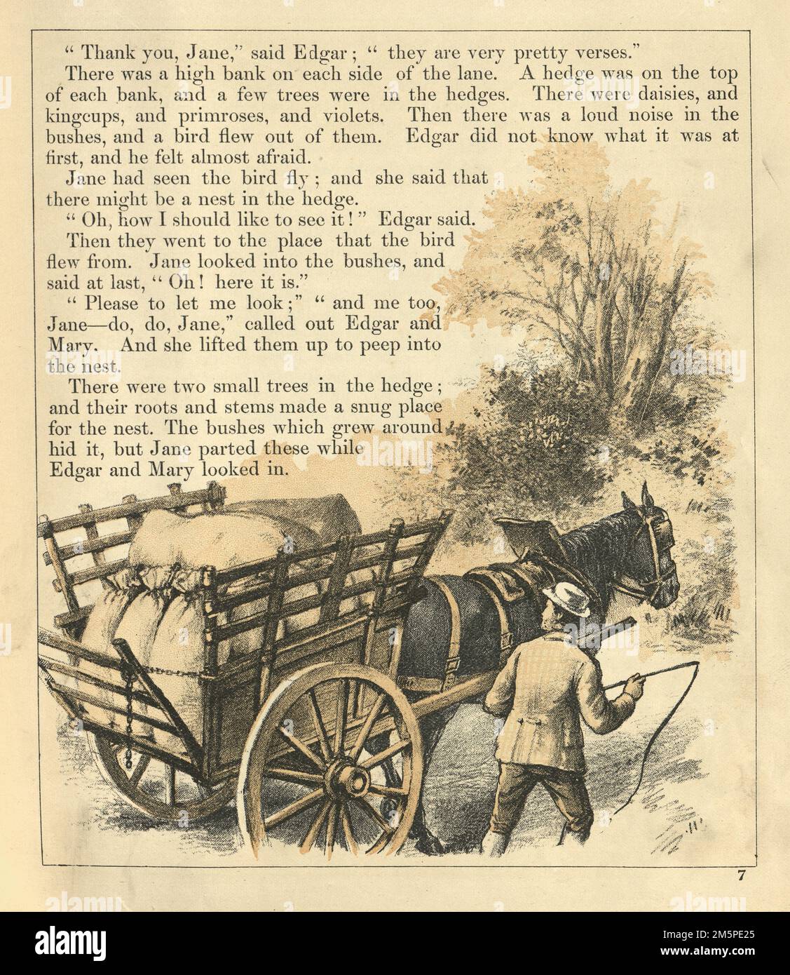 Illustration vintage Miller, fermier, transportant des sacs de farine ou de grain à l'aide de cheval et de chariot, victorien, 19th siècle Banque D'Images