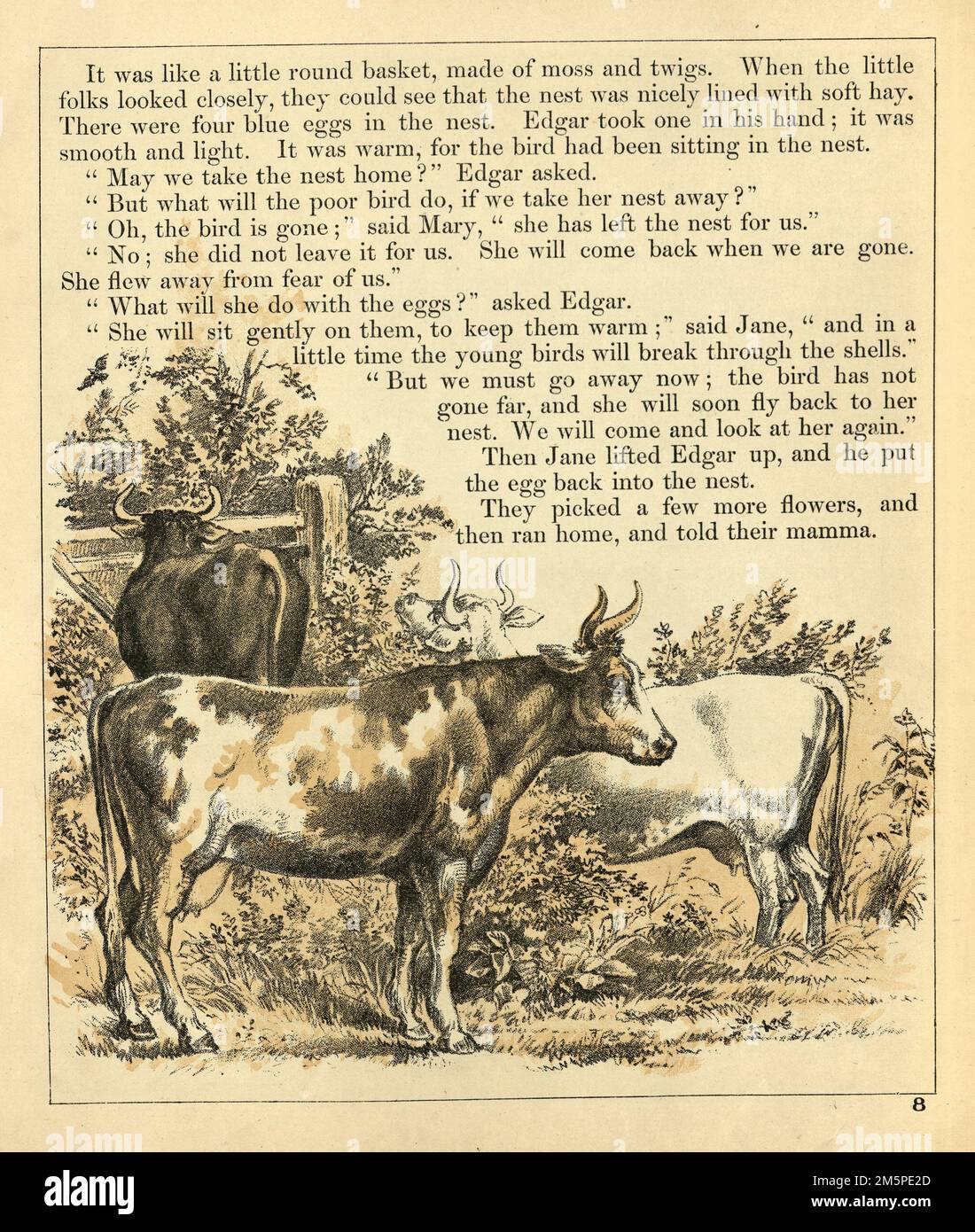 Illustration vintage bovins à cornes, bétail, vaches, l'agriculture victorienne, 19th siècle Banque D'Images
