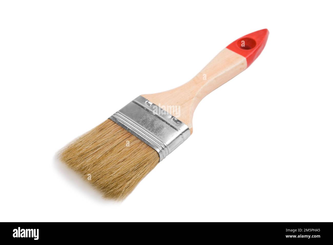 brosse isolée Banque D'Images