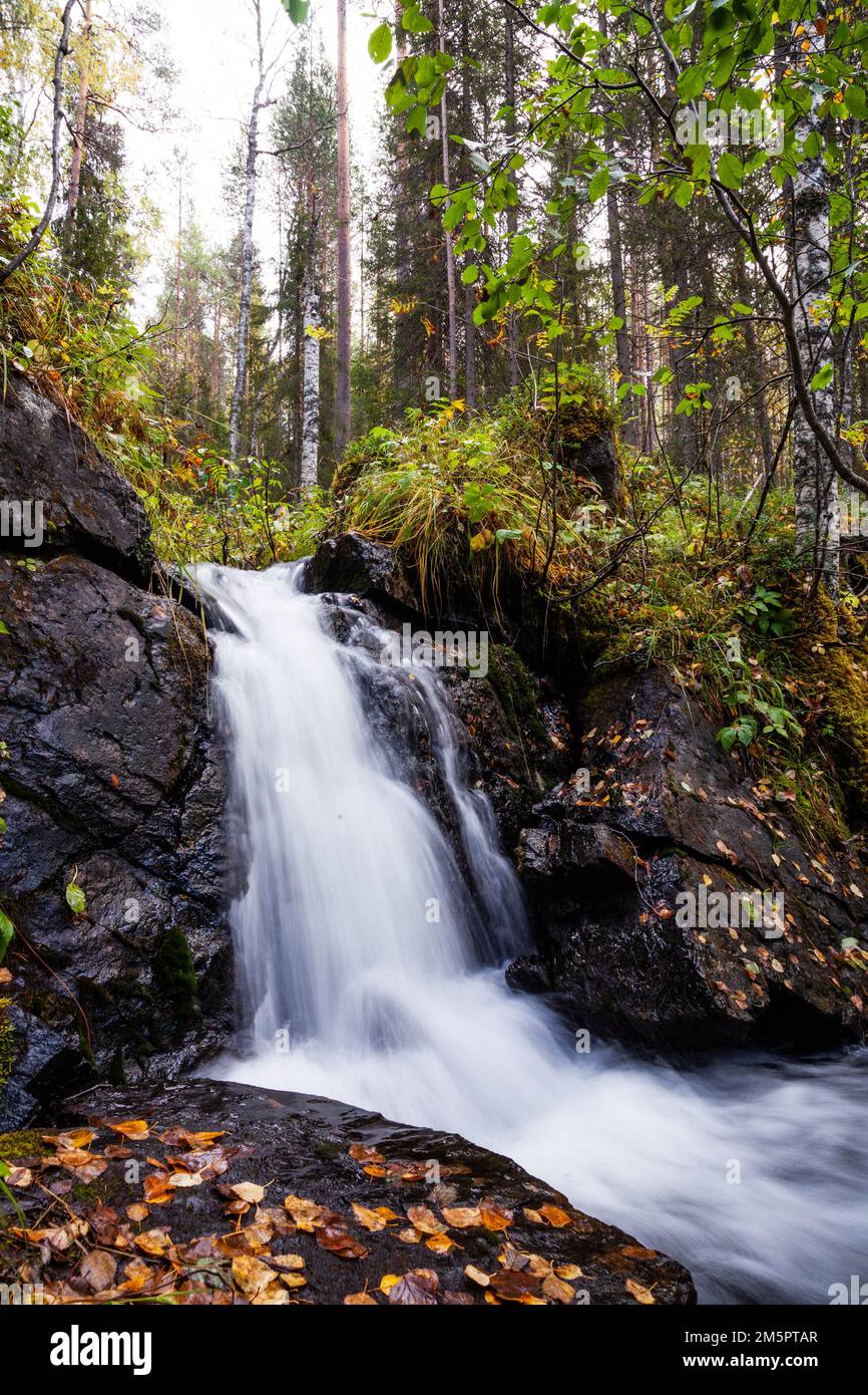 Une petite cascade à côté du sentier de randonnée de Rytisuo dans le parc national d'Oulanka, dans le nord de la Finlande Banque D'Images