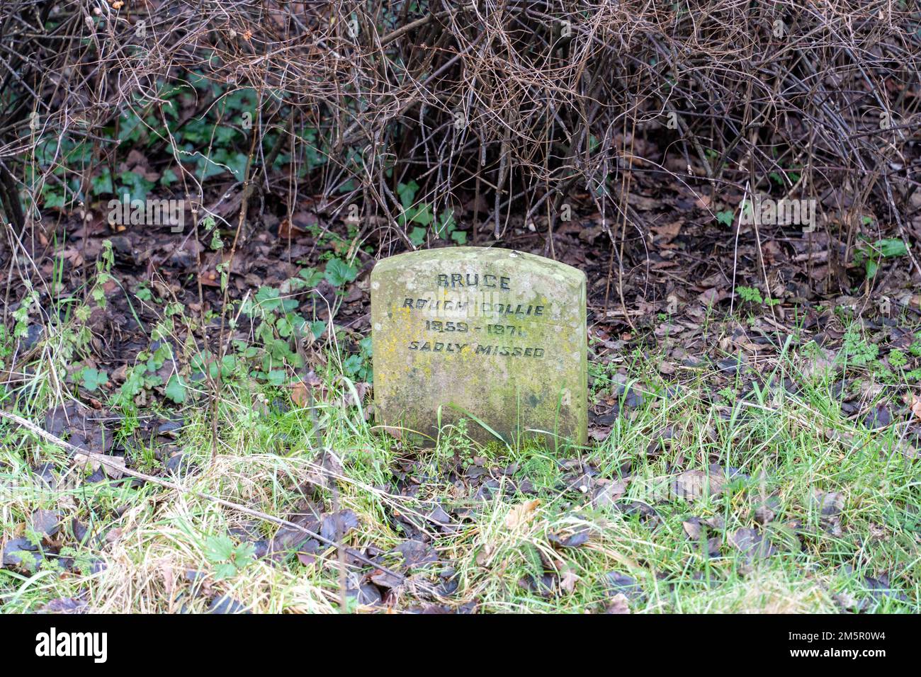 Cimetière des animaux Banque de photographies et d'images à haute  résolution - Alamy