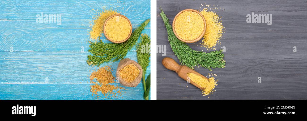 Millet dans un bol en bois, une pelle et des épillets verts sur le fond en bois noir avec un espace de copie pour votre texte. Vue de dessus Banque D'Images