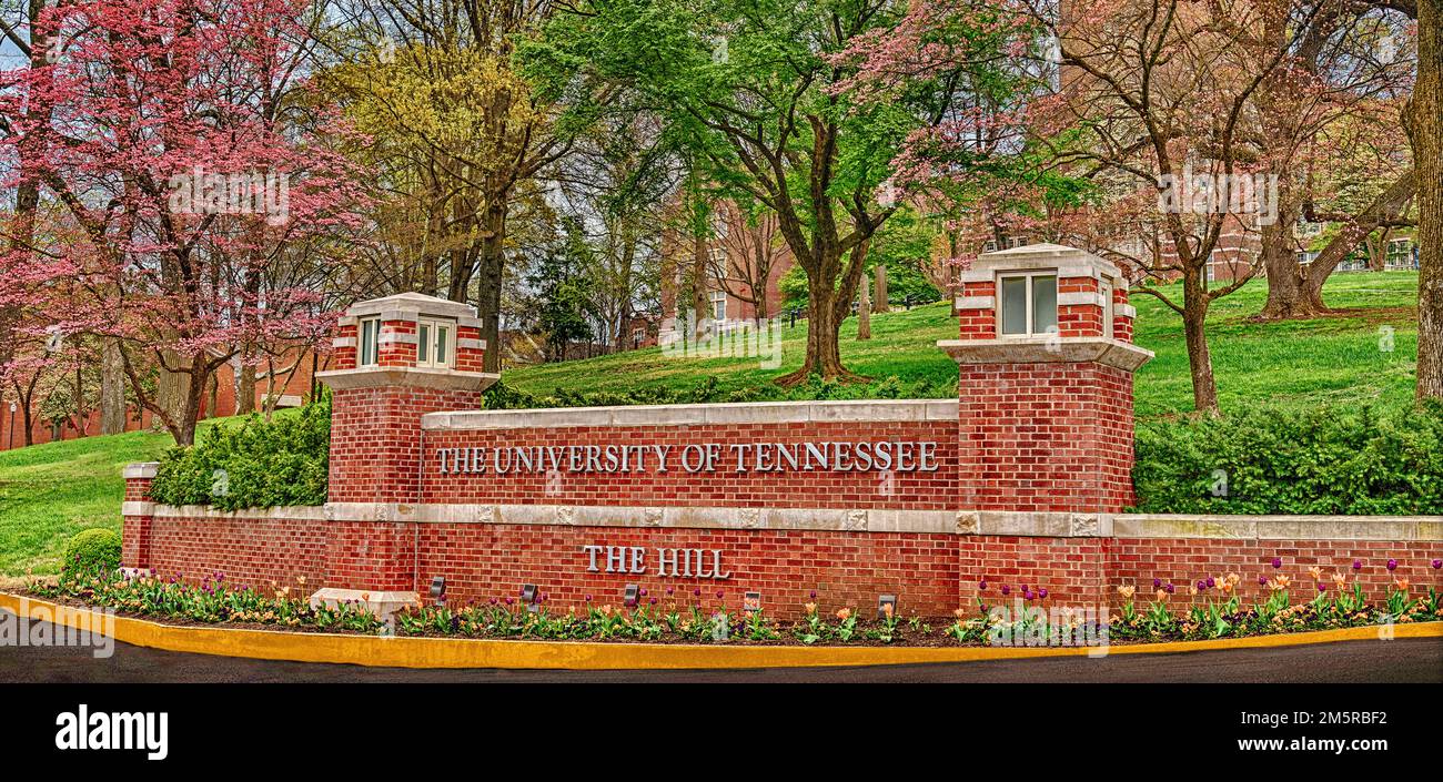 Une vue légèrement panoramique sur le panneau principal de l'Université du Tennessee entouré d'une collection de tulipes fleuris et de cornouillers roses. Banque D'Images