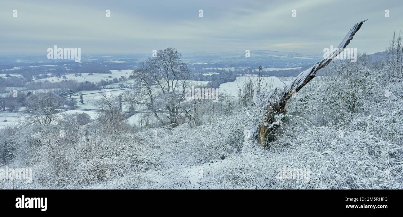 Paysage du parc national de South Downs par une journée enneigée d'hiver Banque D'Images Paysage du parc national de South Downs par une journée enneigée d'hiver Banque D'Images