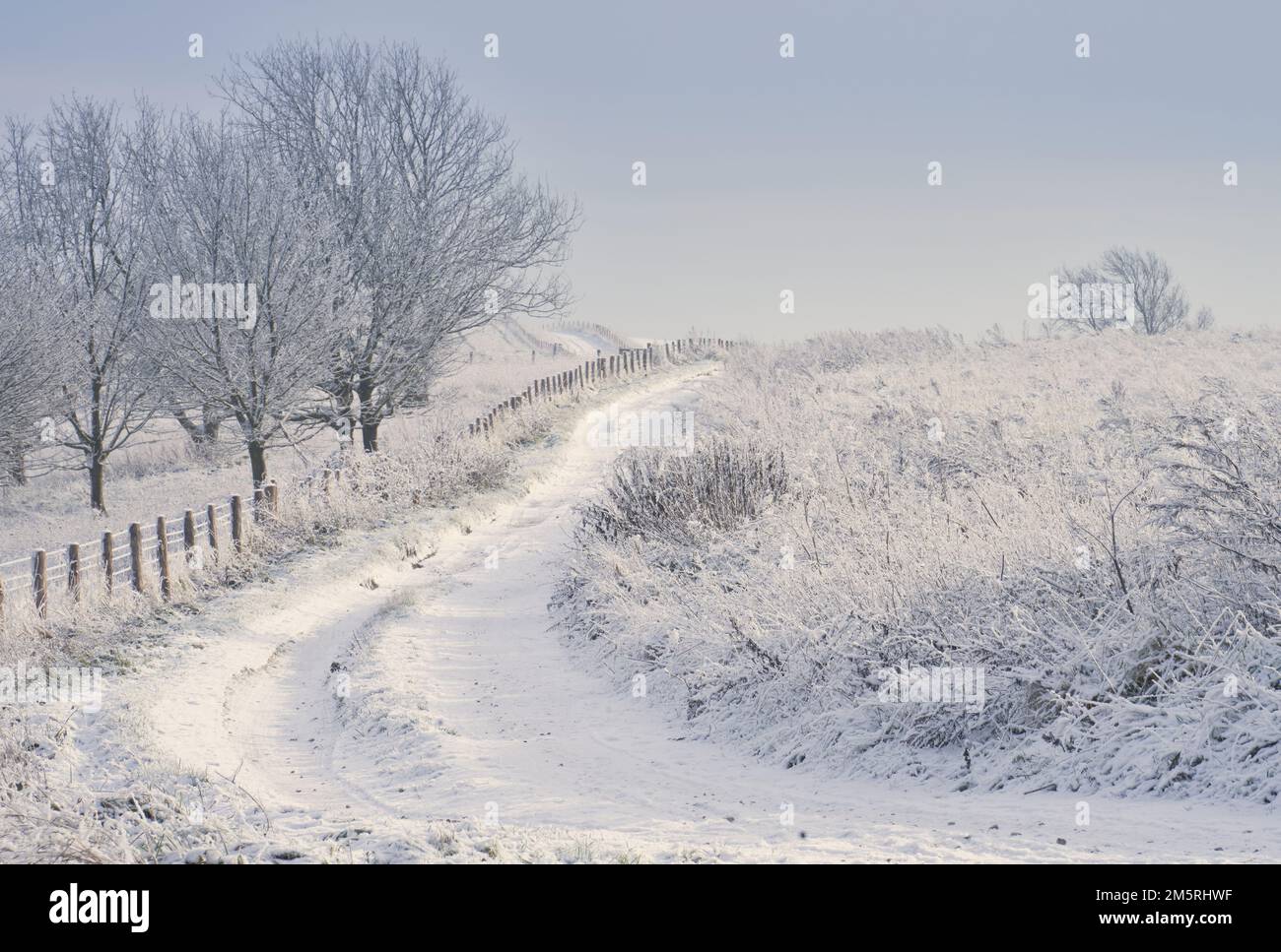 Suivez les South Downs lors d'une journée hivernale enneigée Banque D'Images Suivez les South Downs lors d'une journée hivernale enneigée Banque D'Images