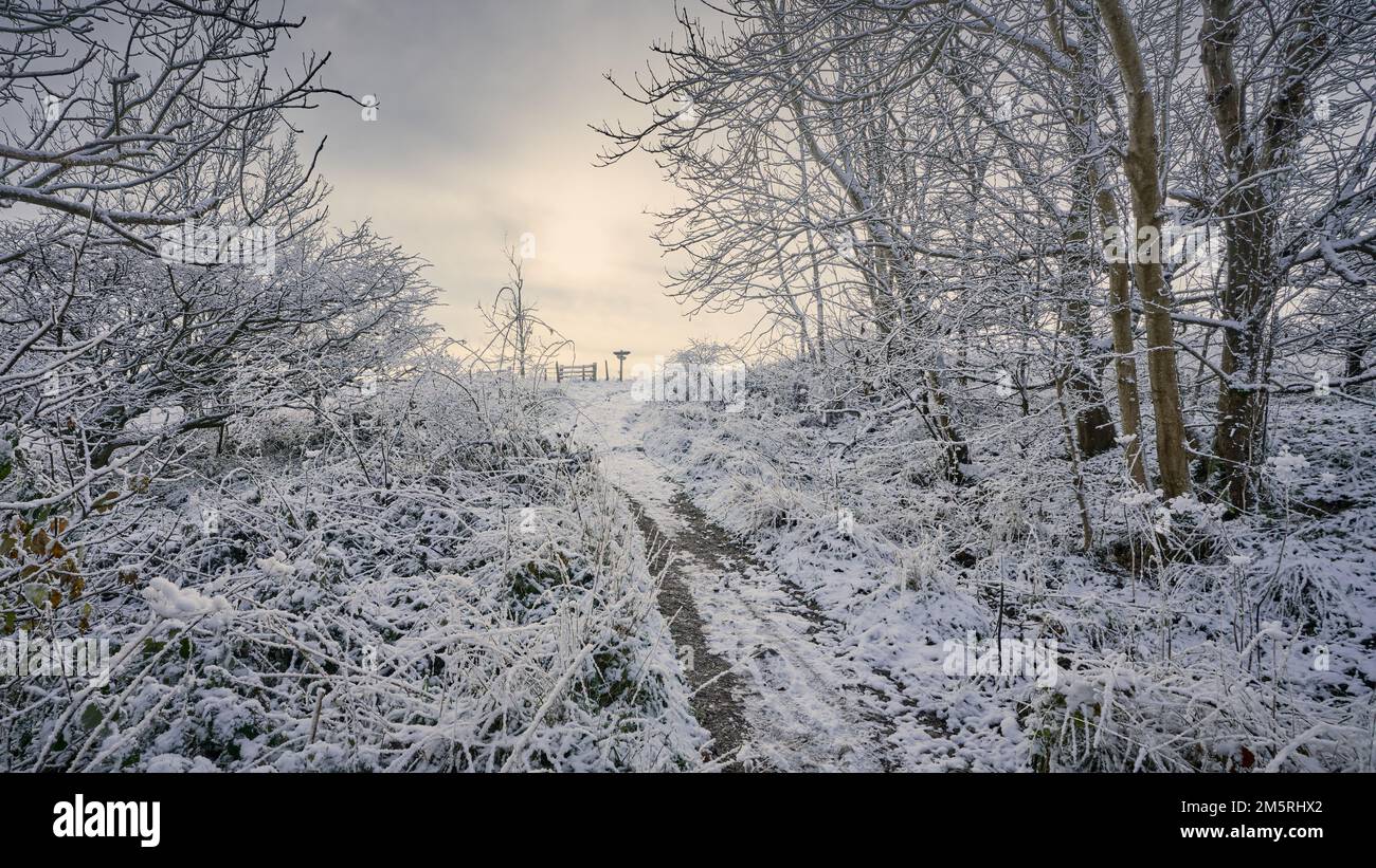 Sentier à travers la campagne lors d'une journée hivernale de neige froide Banque D'Images Sentier à travers la campagne lors d'une journée hivernale de neige froide Banque D'Images