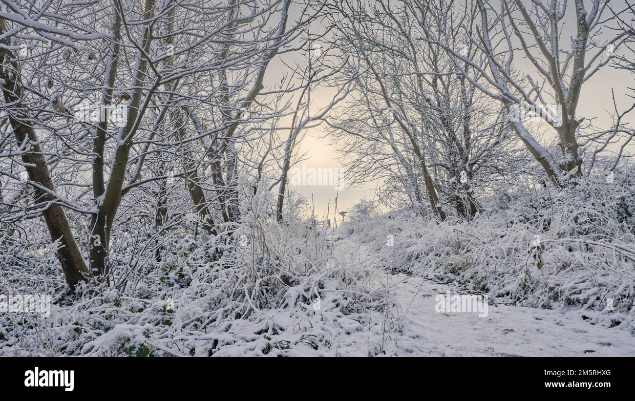 Sentier à travers la campagne lors d'une journée hivernale de neige froide Banque D'Images Sentier à travers la campagne lors d'une journée hivernale de neige froide Banque D'Images
