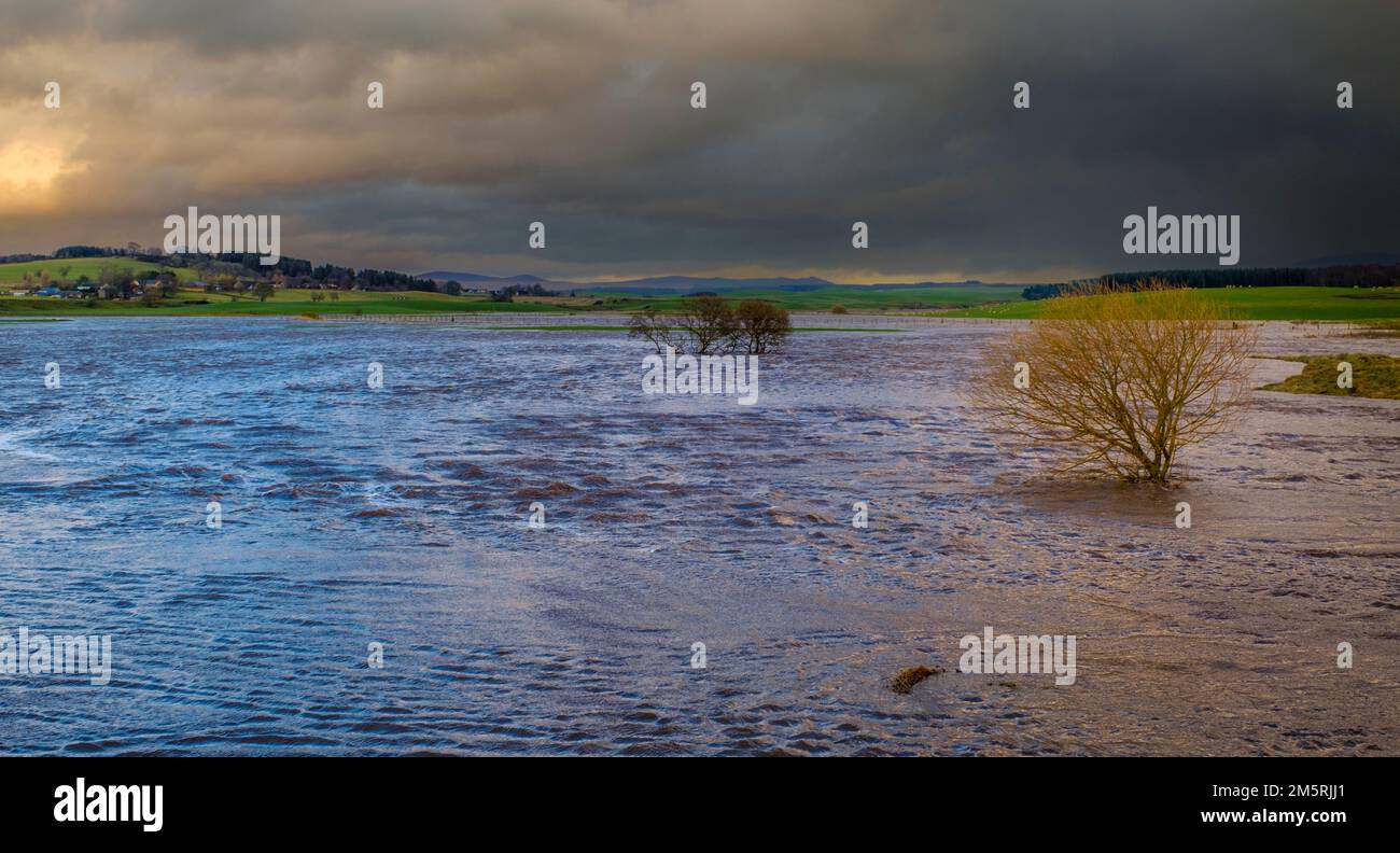 La rivière Medwin (un affluent de la Clyde) en crue dans le sud du Lanarkshire, en Écosse, après des jours de fortes pluies Banque D'Images