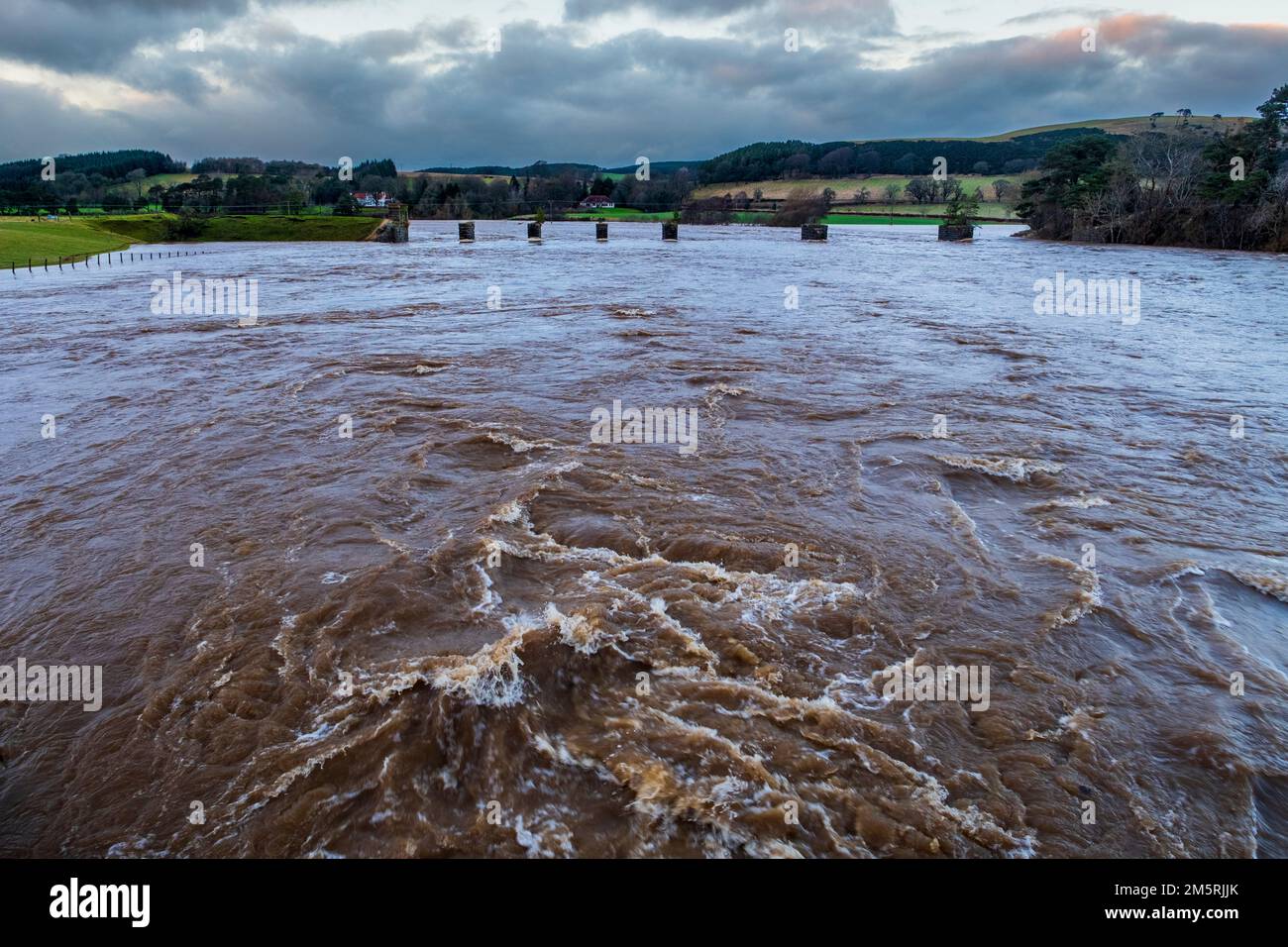 La rivière Clyde inondée dans le sud du Lanarkshire, en Écosse, après des jours de fortes pluies Banque D'Images