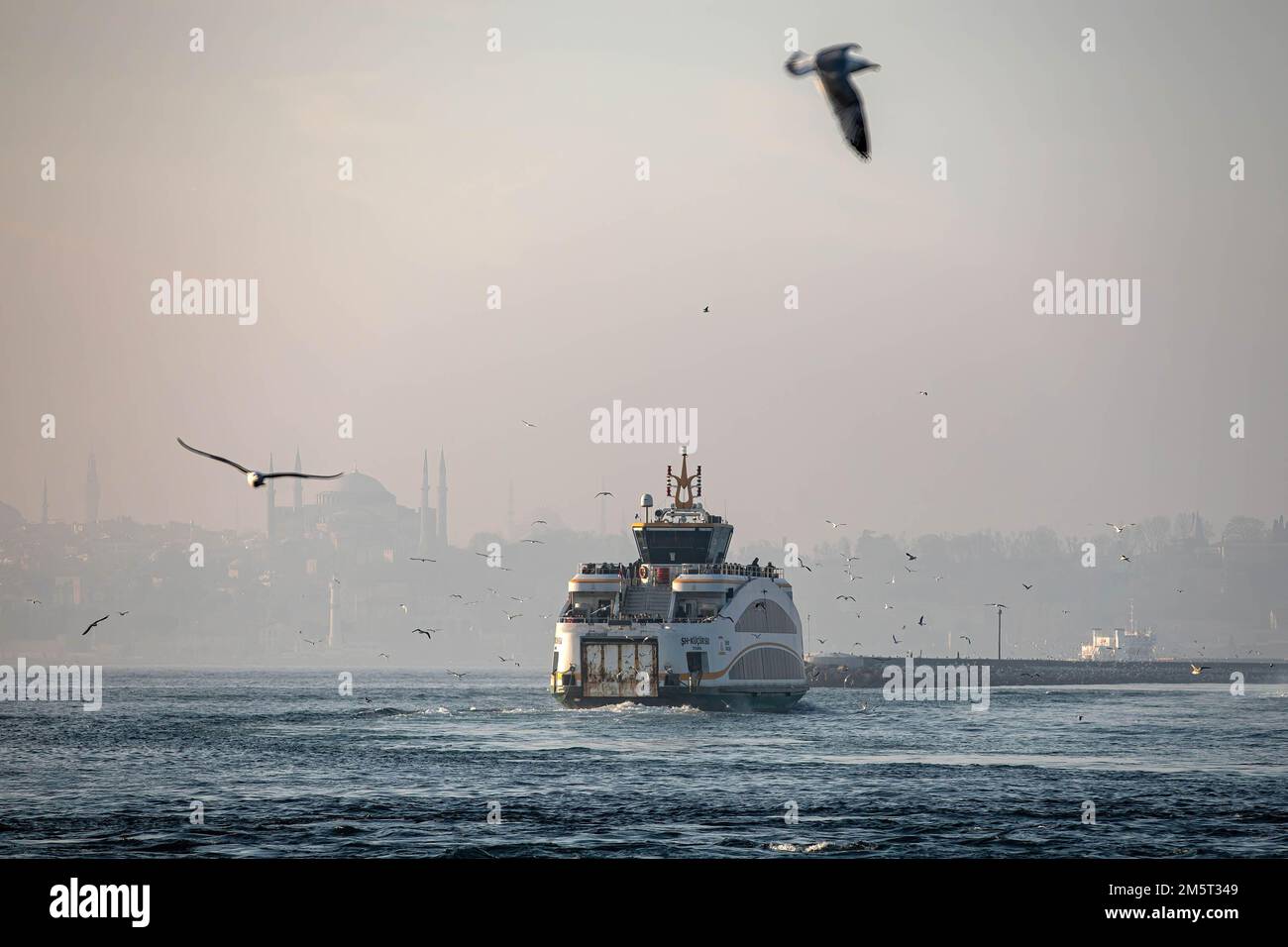 Des mouettes survolées avec le ferry des lignes de la ville au départ de la jetée de Kadikoy. Bien que le temps ait été exceptionnellement chaud à Istanbul, les gens se sont amusés autour de la jetée de Kadikoy. Banque D'Images