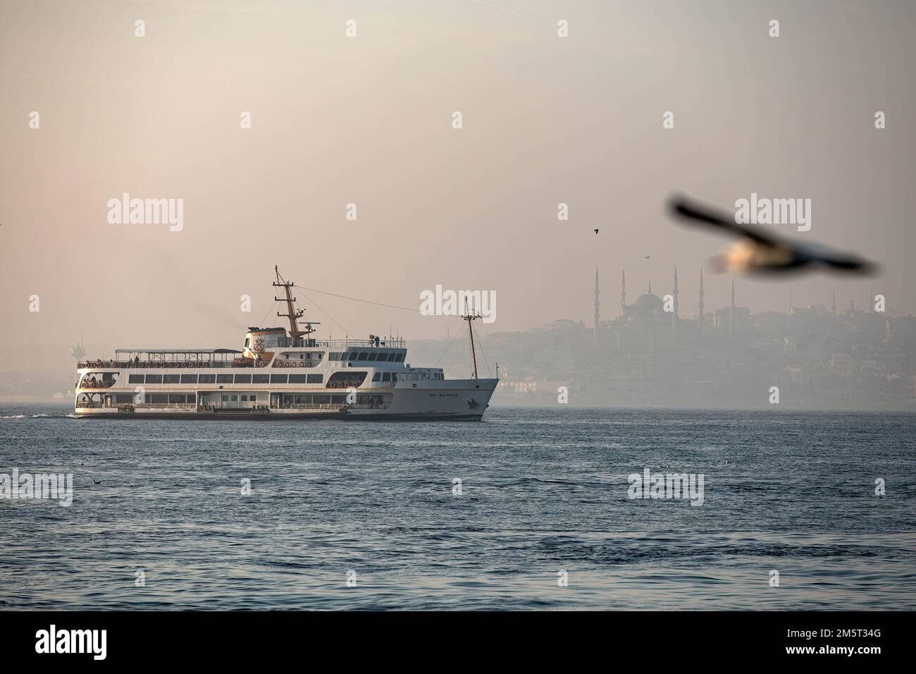 Les lignes de ferry de la ville et la Mosquée bleue en arrière-plan ont créé une belle image avec un mouette volant. Bien que le temps ait été exceptionnellement chaud à Istanbul, les gens se sont amusés autour de la jetée de Kadikoy. Banque D'Images