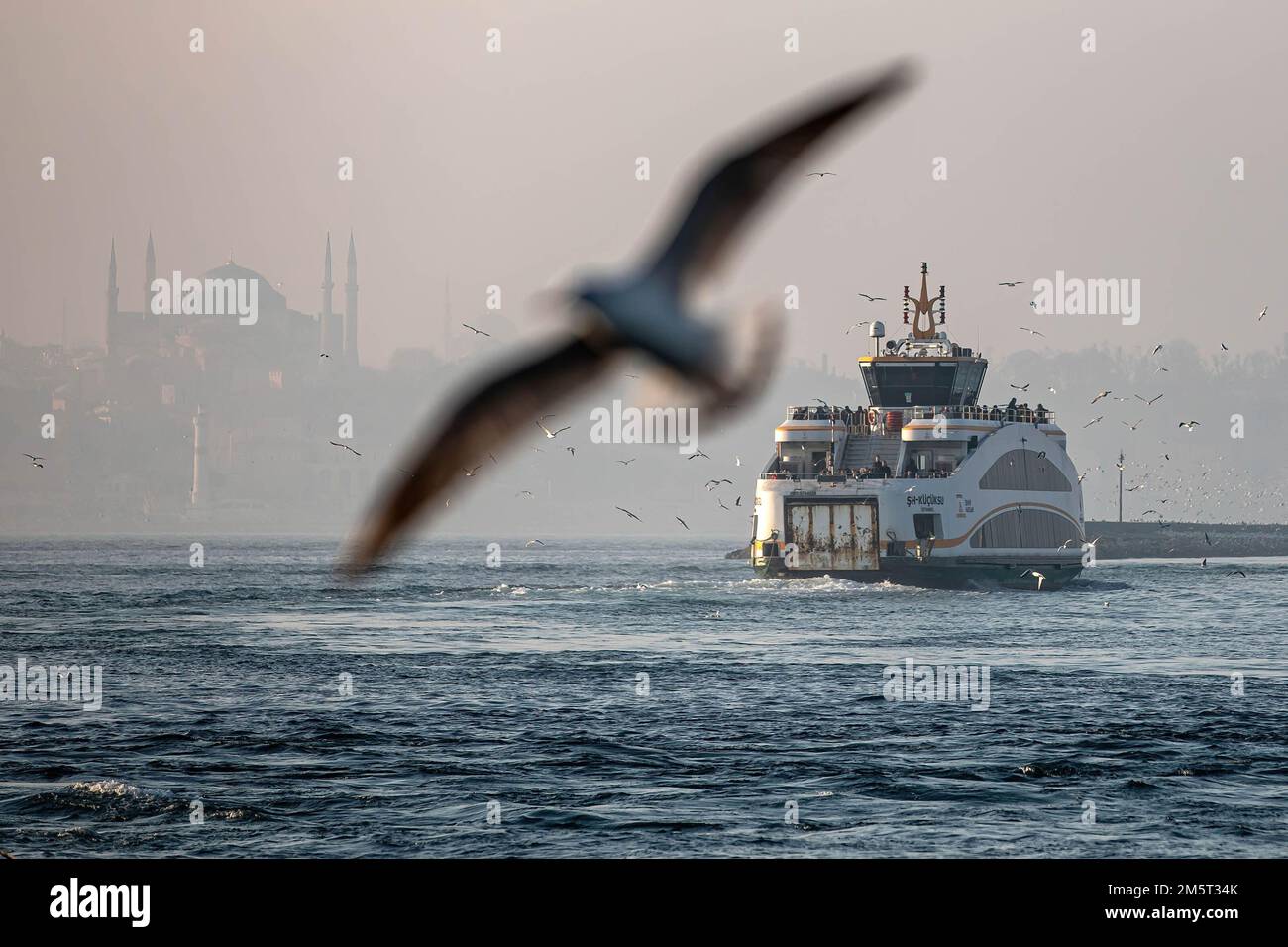 Des mouettes volent autour des lignes de ferry de la ville et de la mosquée Sainte-Sophie en arrière-plan. Bien que le temps ait été exceptionnellement chaud à Istanbul, les gens se sont amusés autour de la jetée de Kadikoy. Banque D'Images
