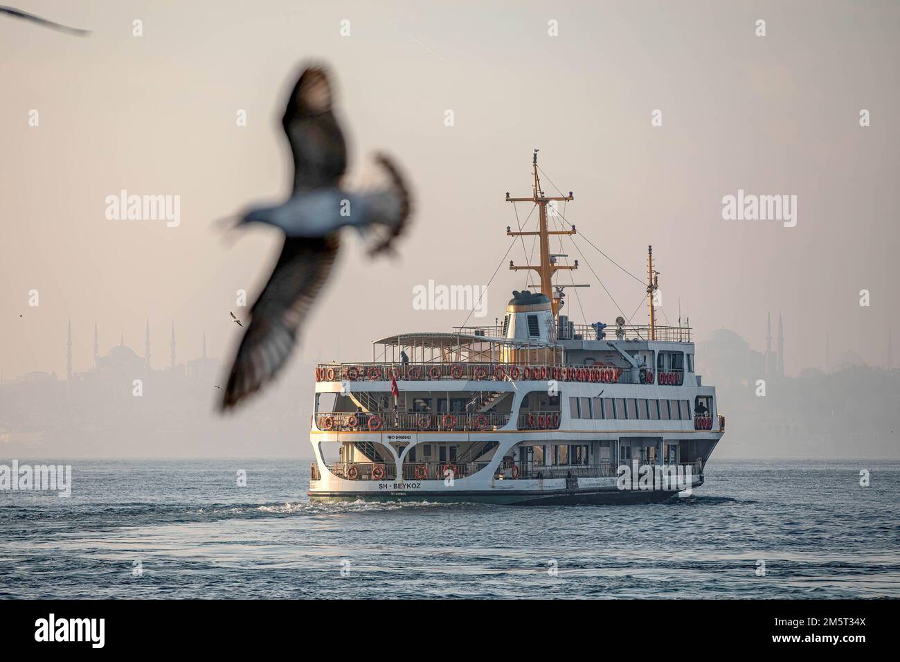 Des mouettes volantes autour des lignes de ferry de la ville et de la Mosquée bleue et de Sainte-Sophie en arrière-plan ont été vues. Bien que le temps ait été exceptionnellement chaud à Istanbul, les gens se sont amusés autour de la jetée de Kadikoy. Banque D'Images