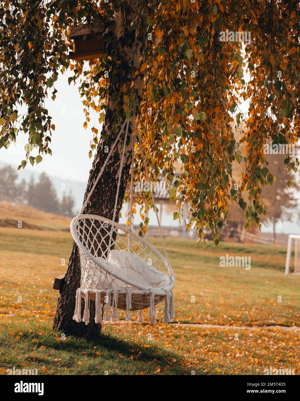 Une verticale d'une chaise hamac de sorbus macrame, balançoire accrochée  d'un arbre avec feuillage d'automne, couleurs d'automne Photo Stock - Alamy