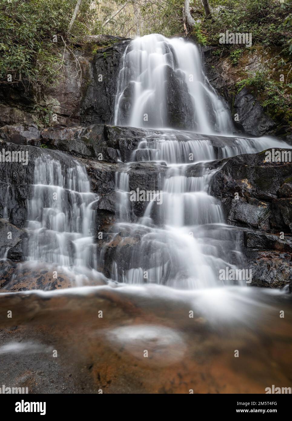 TN00108-00....Tennessee -Laurel Falls dans le parc national des Great Smoky Mountains. Banque D'Images