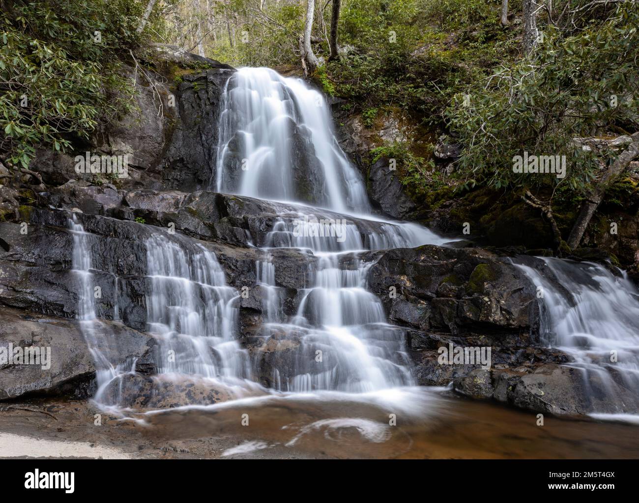 TN00109-00....Tennessee -Laurel Falls dans le parc national des Great Smoky Mountains. Banque D'Images