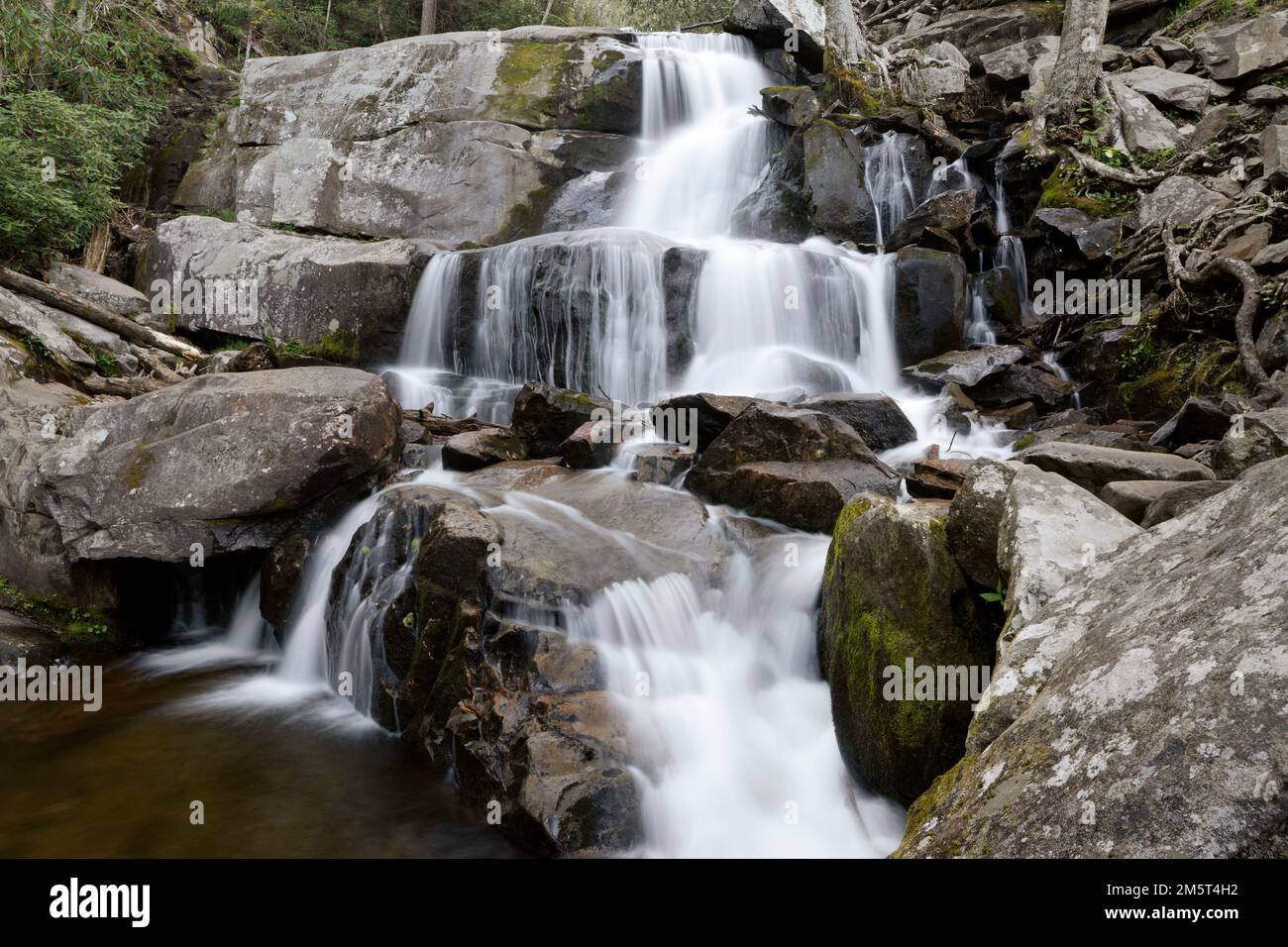TN00110-00....Tennessee -Laurel Falls dans le parc national des Great Smoky Mountains. Banque D'Images